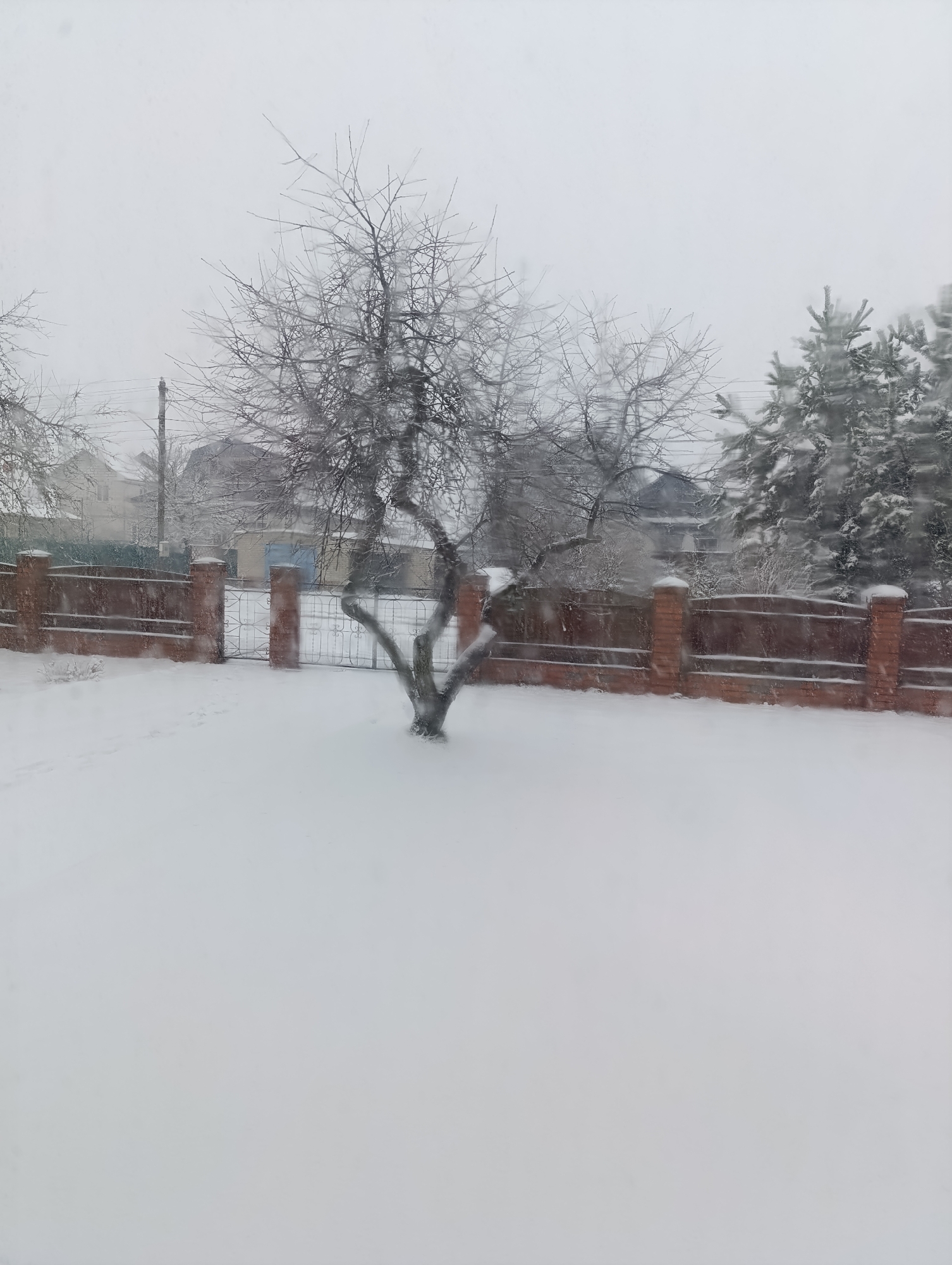 Early morning domestic moments captured during winter weather
