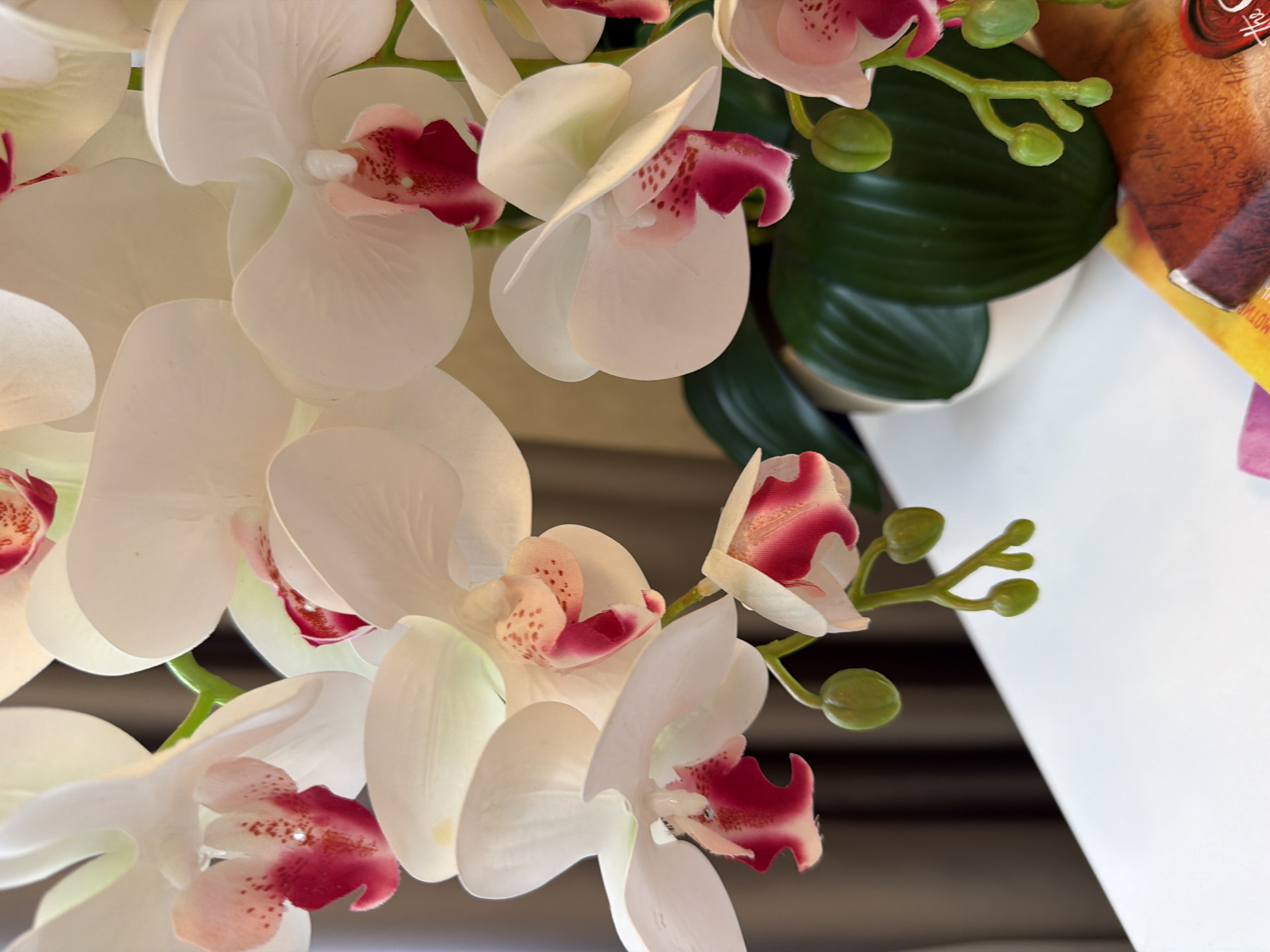 Artificial white orchids with pink centers, shot up close