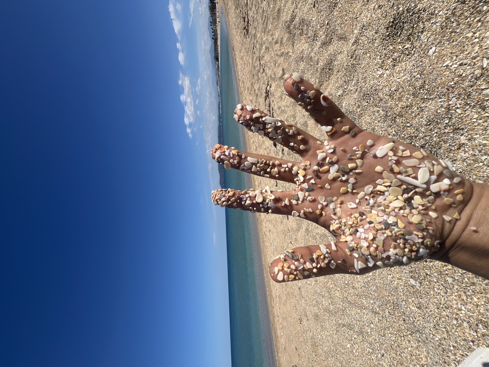 Beach day documented in M'Diq, Morocco with shell collecting