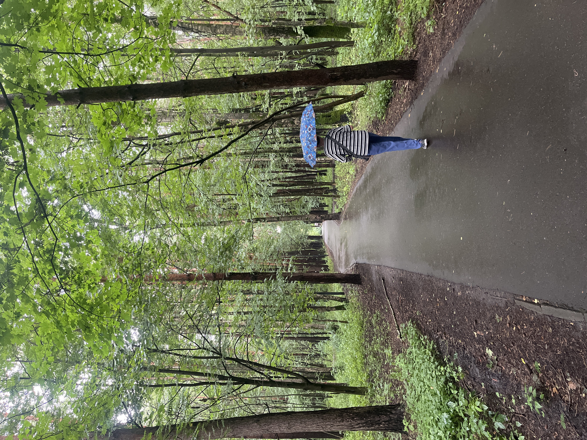 Rainy morning walk along a Moscow lakeside park
