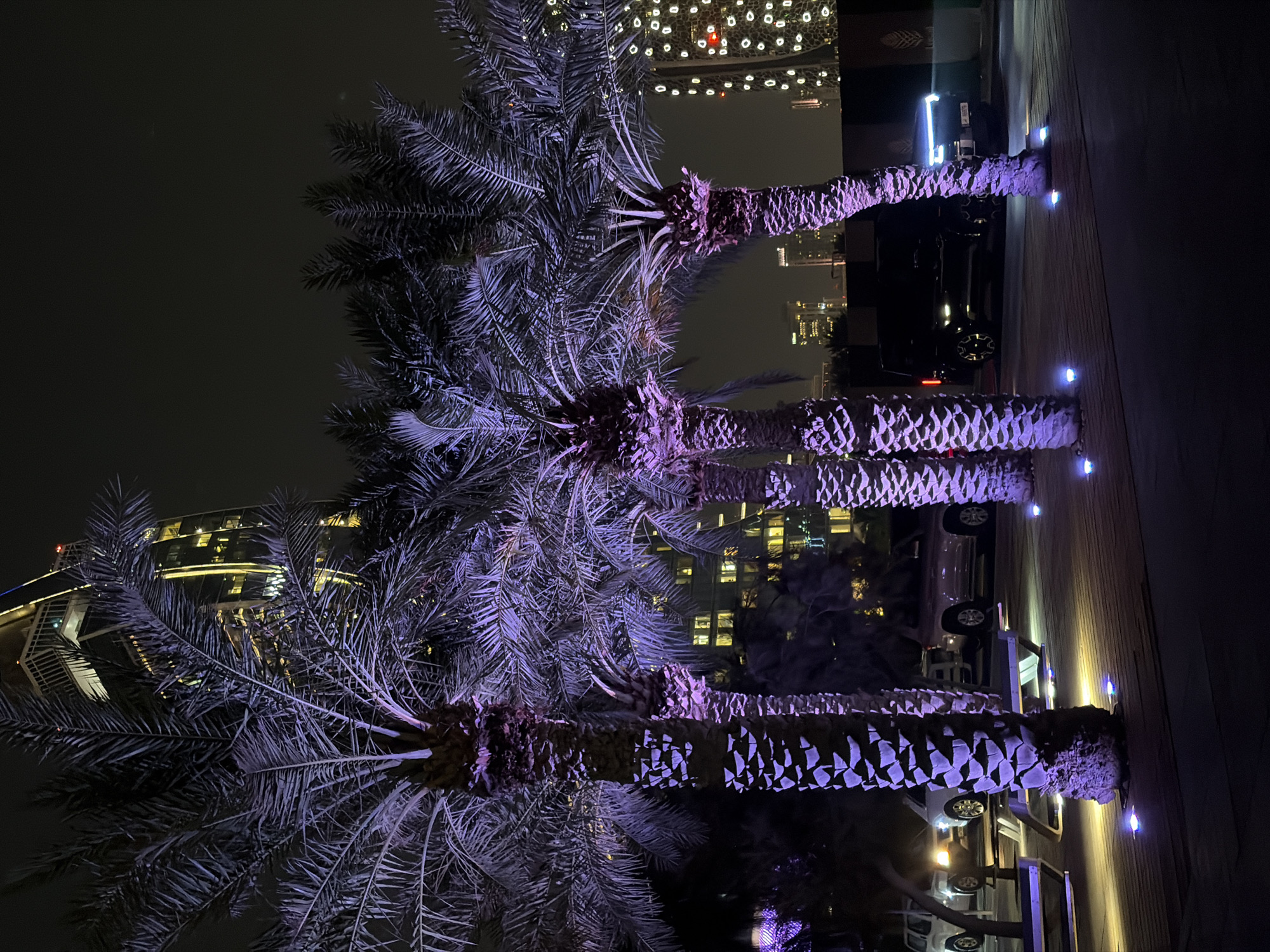 Night out along a glowing urban waterfront