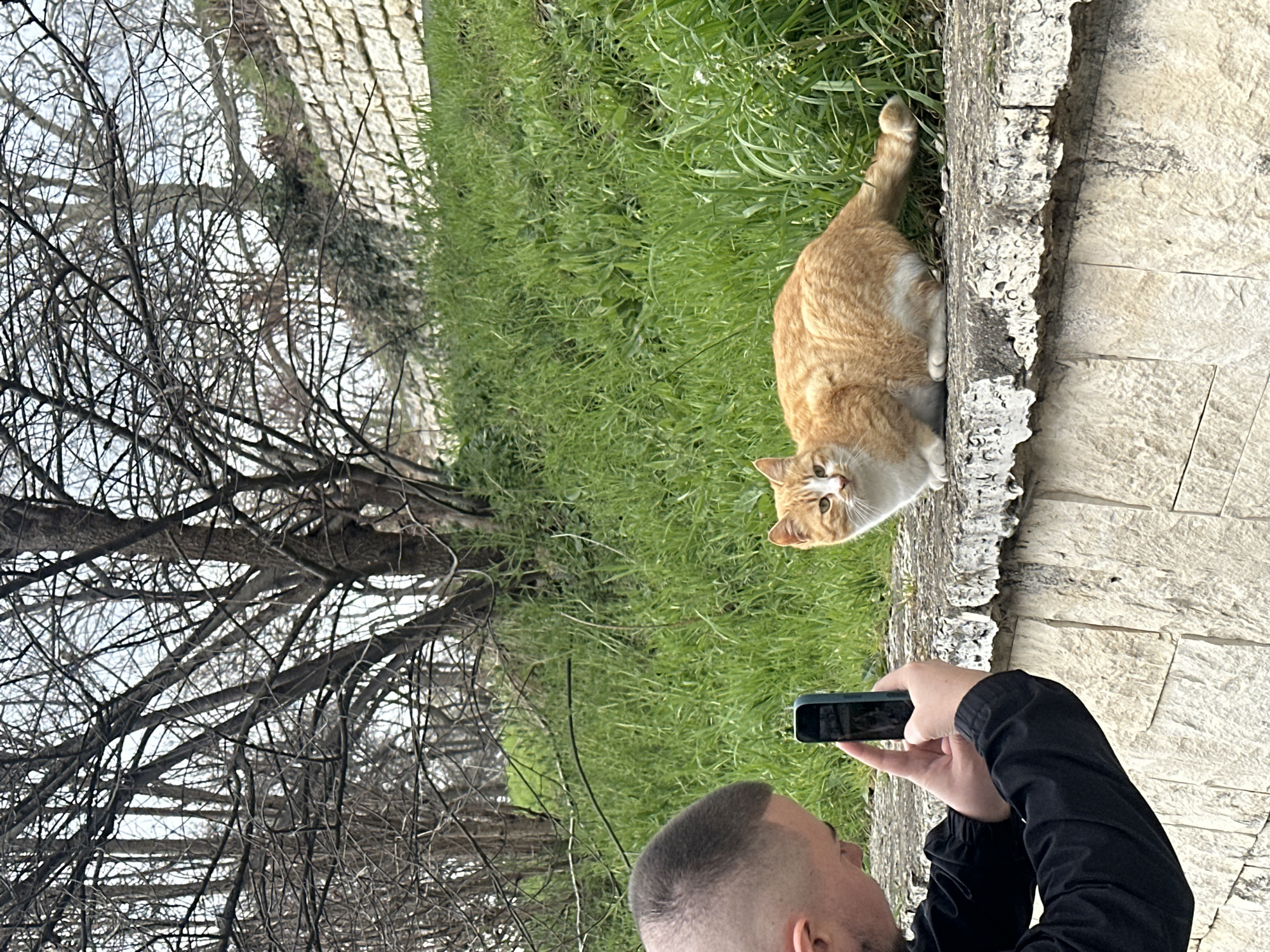 Cats and dogs spotted lounging around Varna, Bulgaria beaches