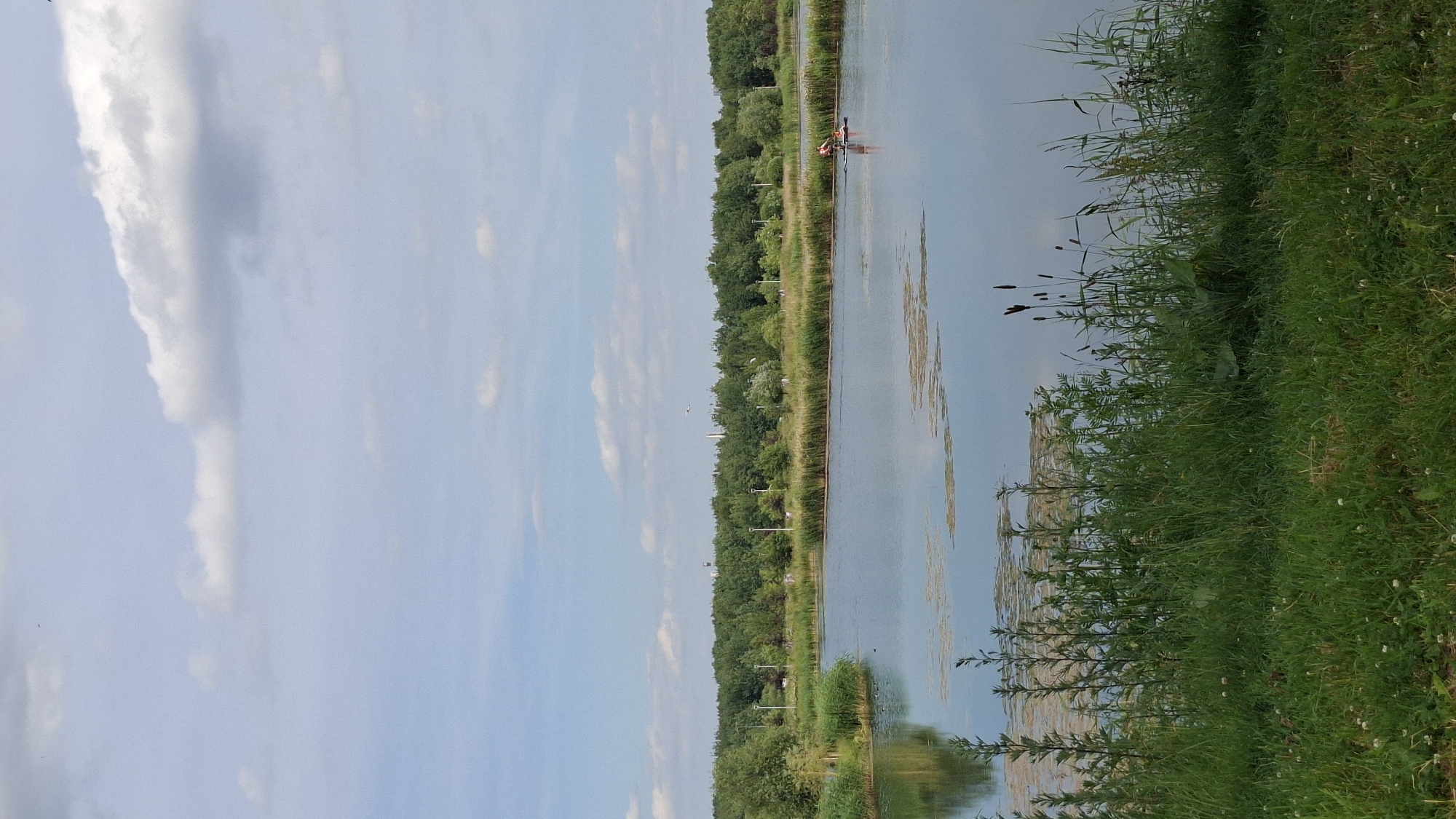 Lazy summer afternoon at a Saint Petersburg lakeside park