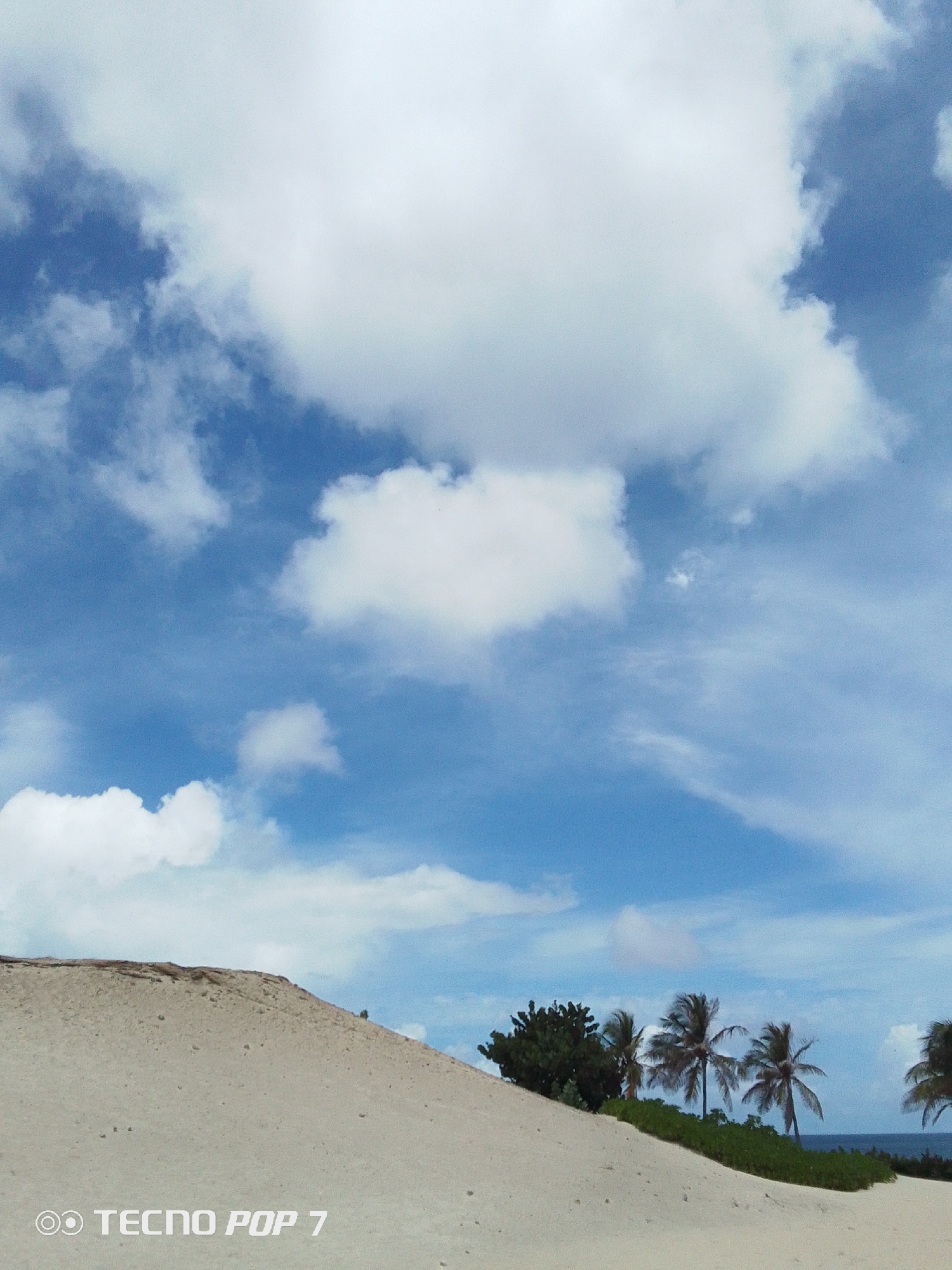 Coastal landscapes documented in Pedro González, Venezuela
