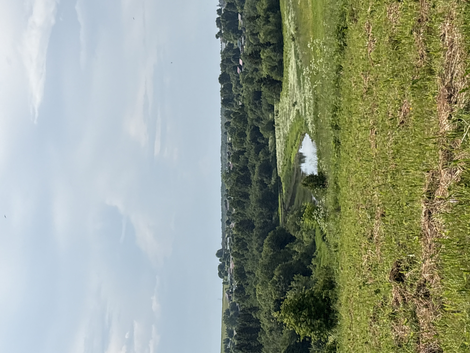 Rural summer morning across two small Russian settlements