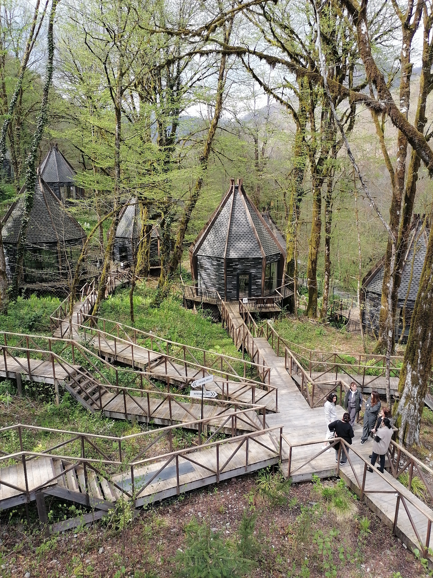 Forest resort cabins documented in Medoveevka, Russia