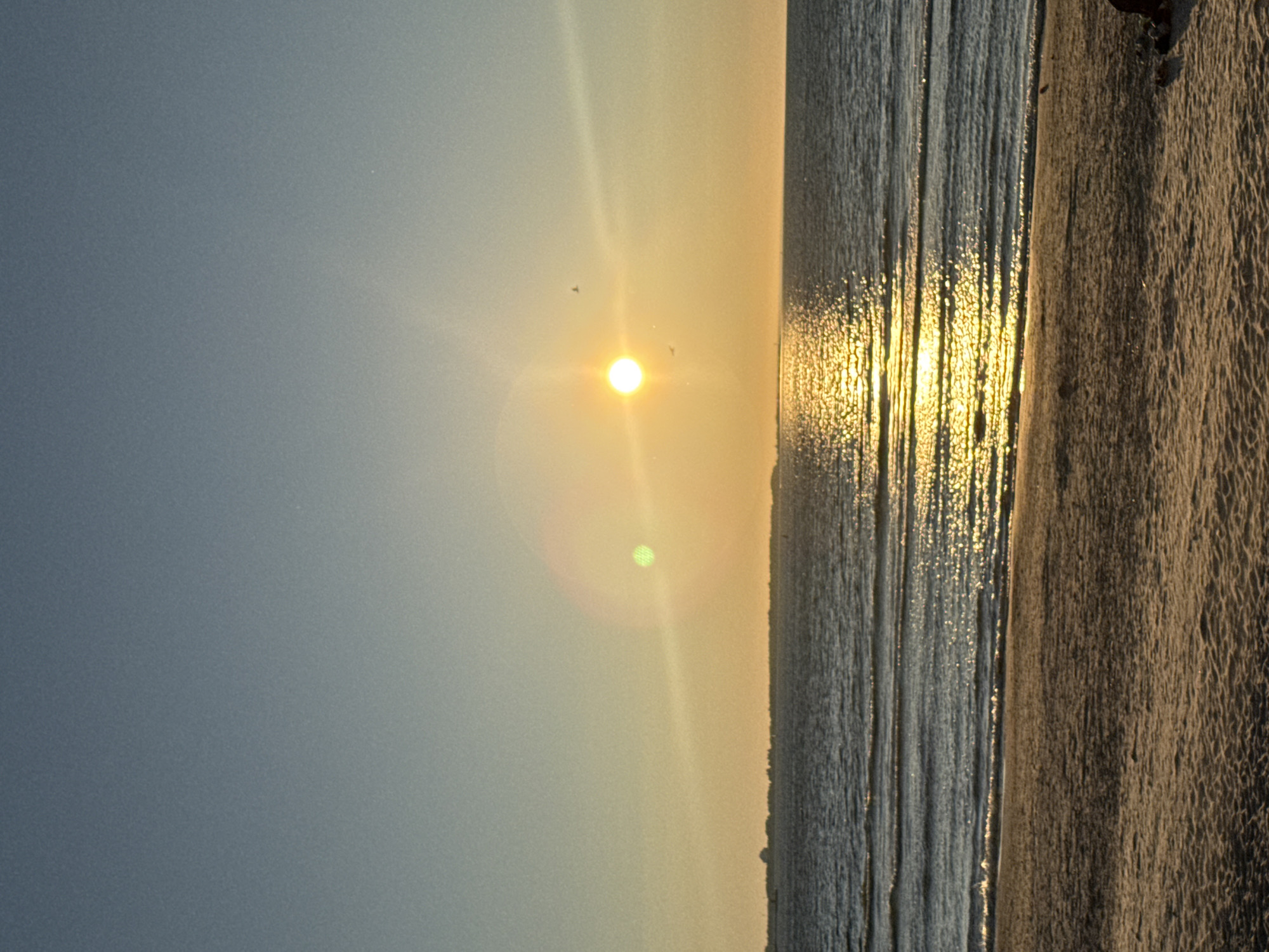 Tallinn evening: sunset beach and a teddy bear indoors