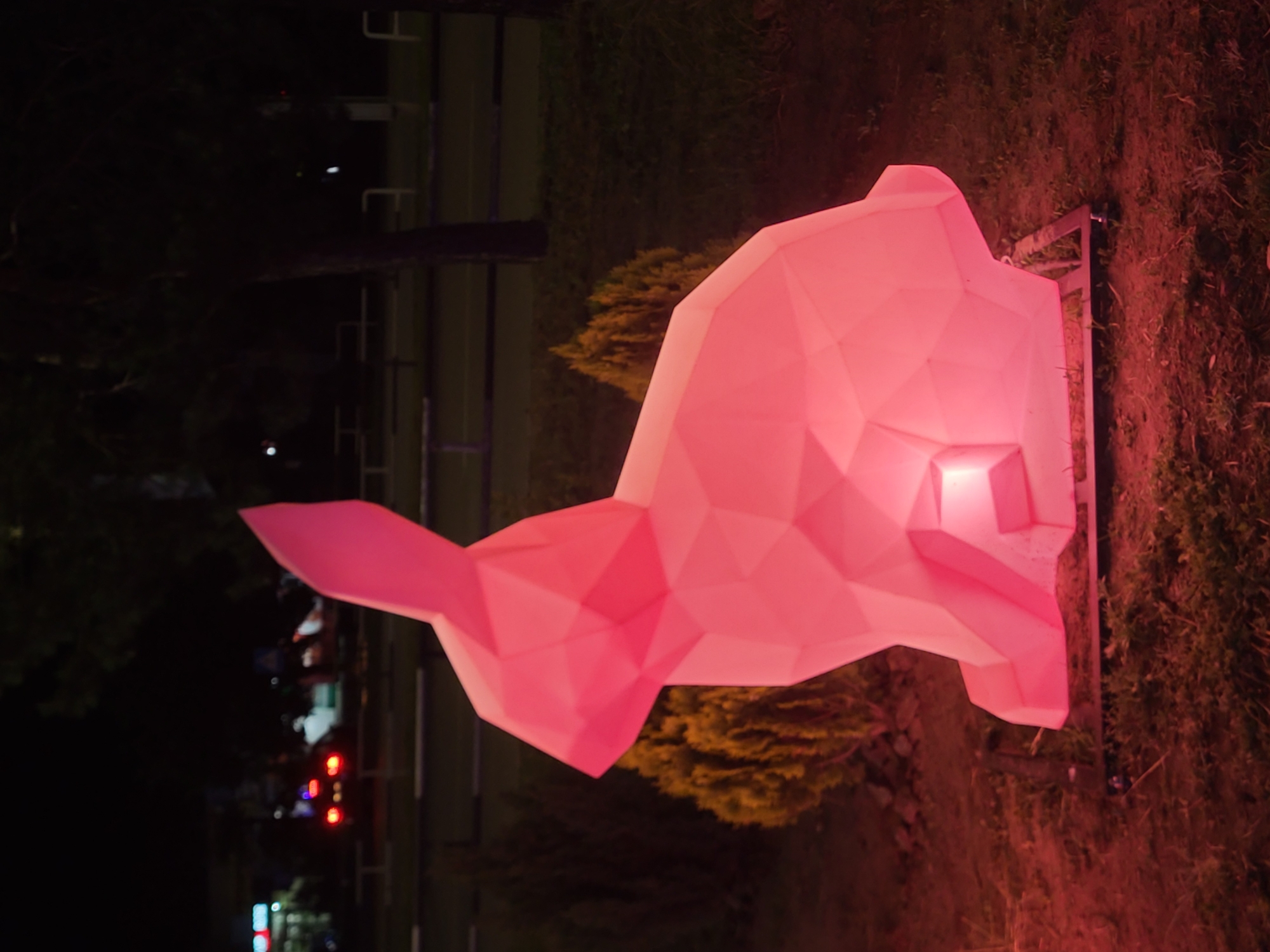 Evening walk through illuminated festival displays in Horishni Plavni