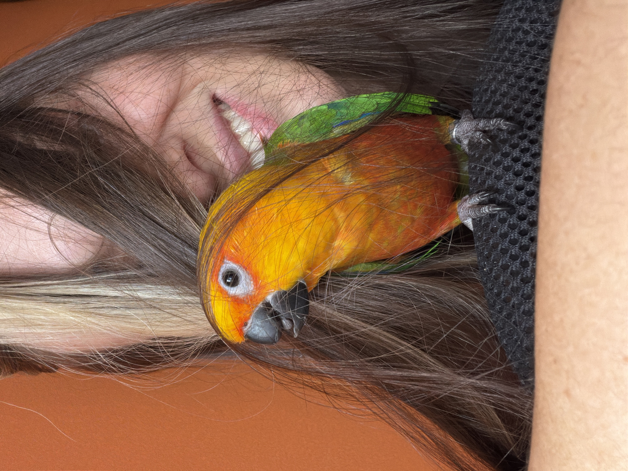 Woman poses with colorful parrot in Khimki, Russia