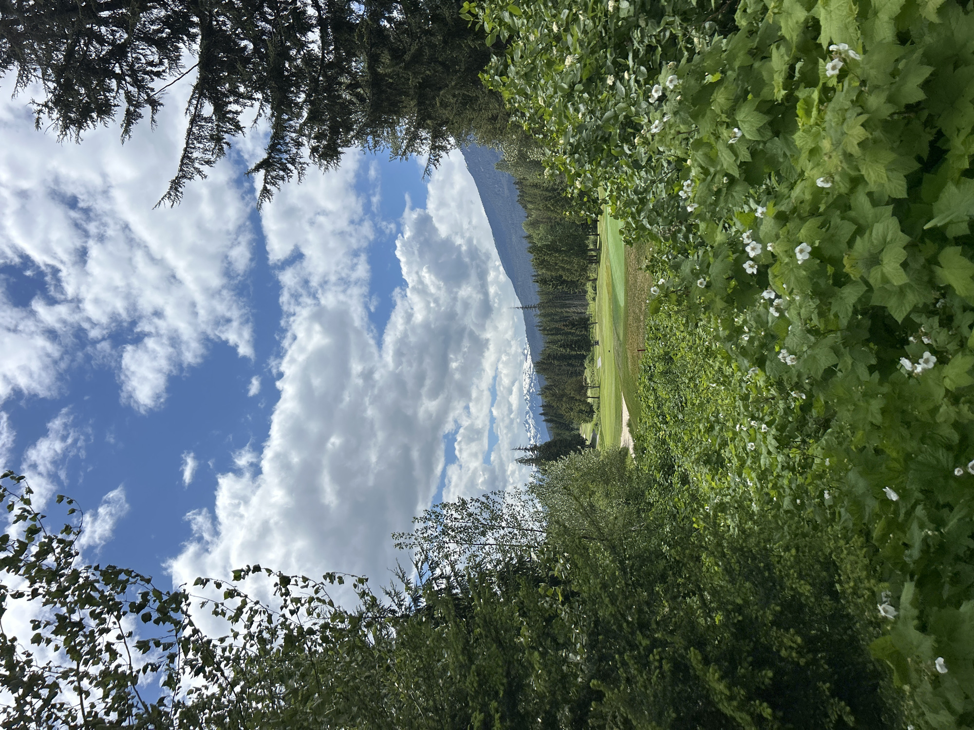 Evening stroll through Whistler golf course and forest paths