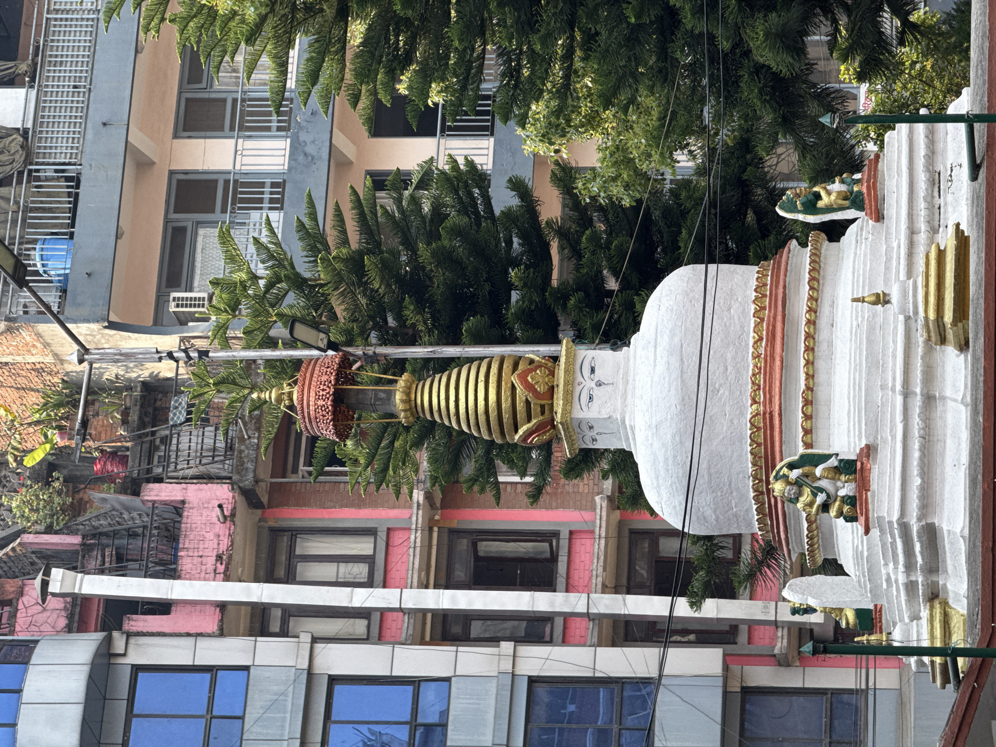Witness captures traditional architecture and commerce in Kathmandu