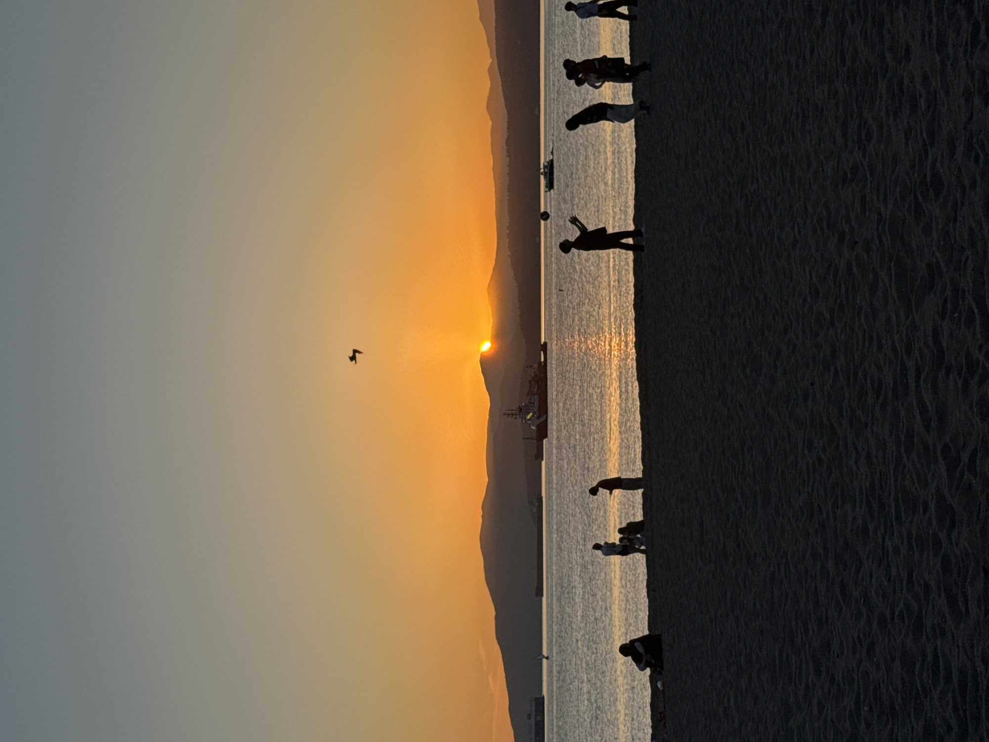 Sunset crowd gathers at Kitsilano Beach, Vancouver