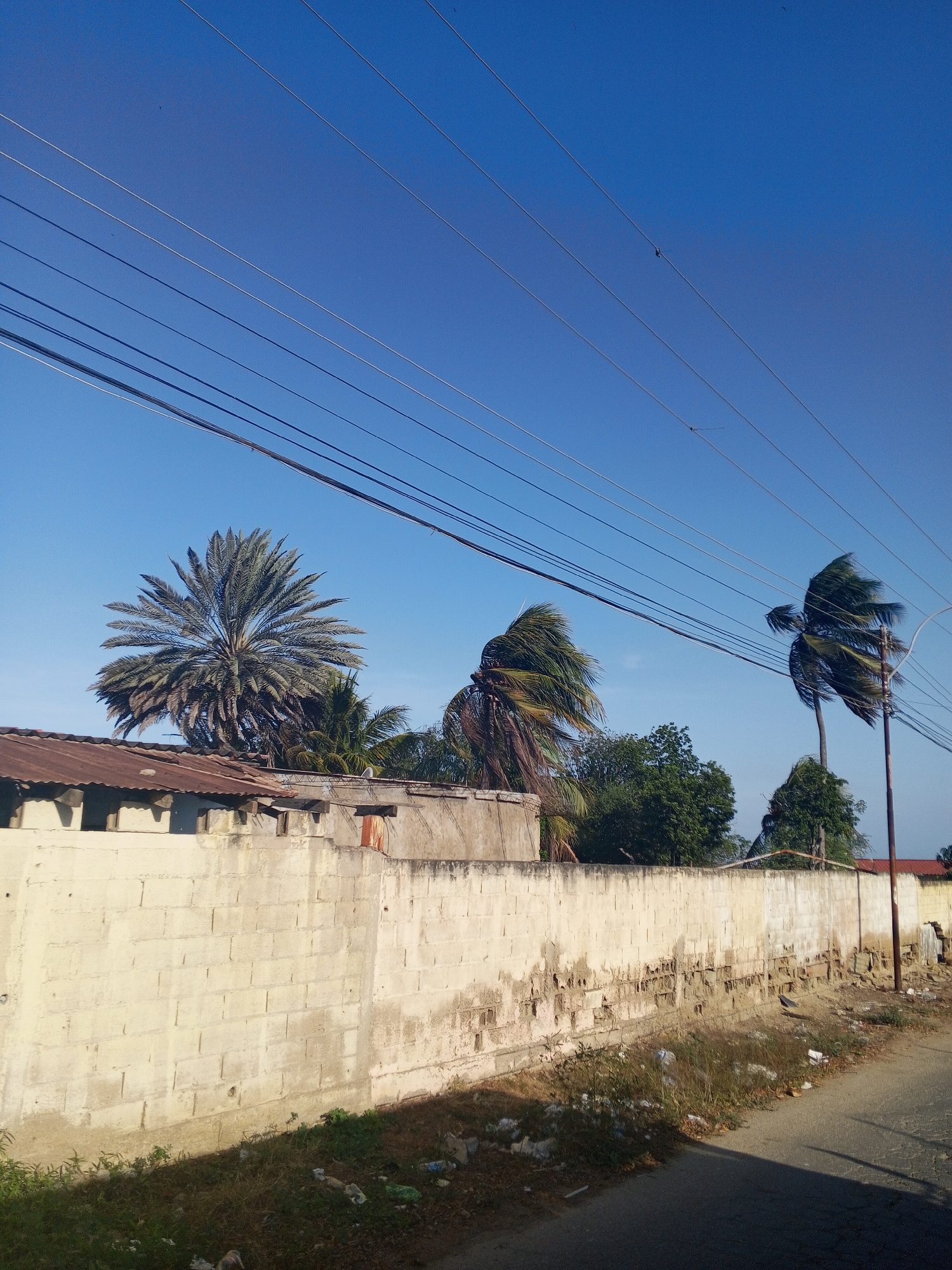 Street scenes documented in El Dátil, Venezuela