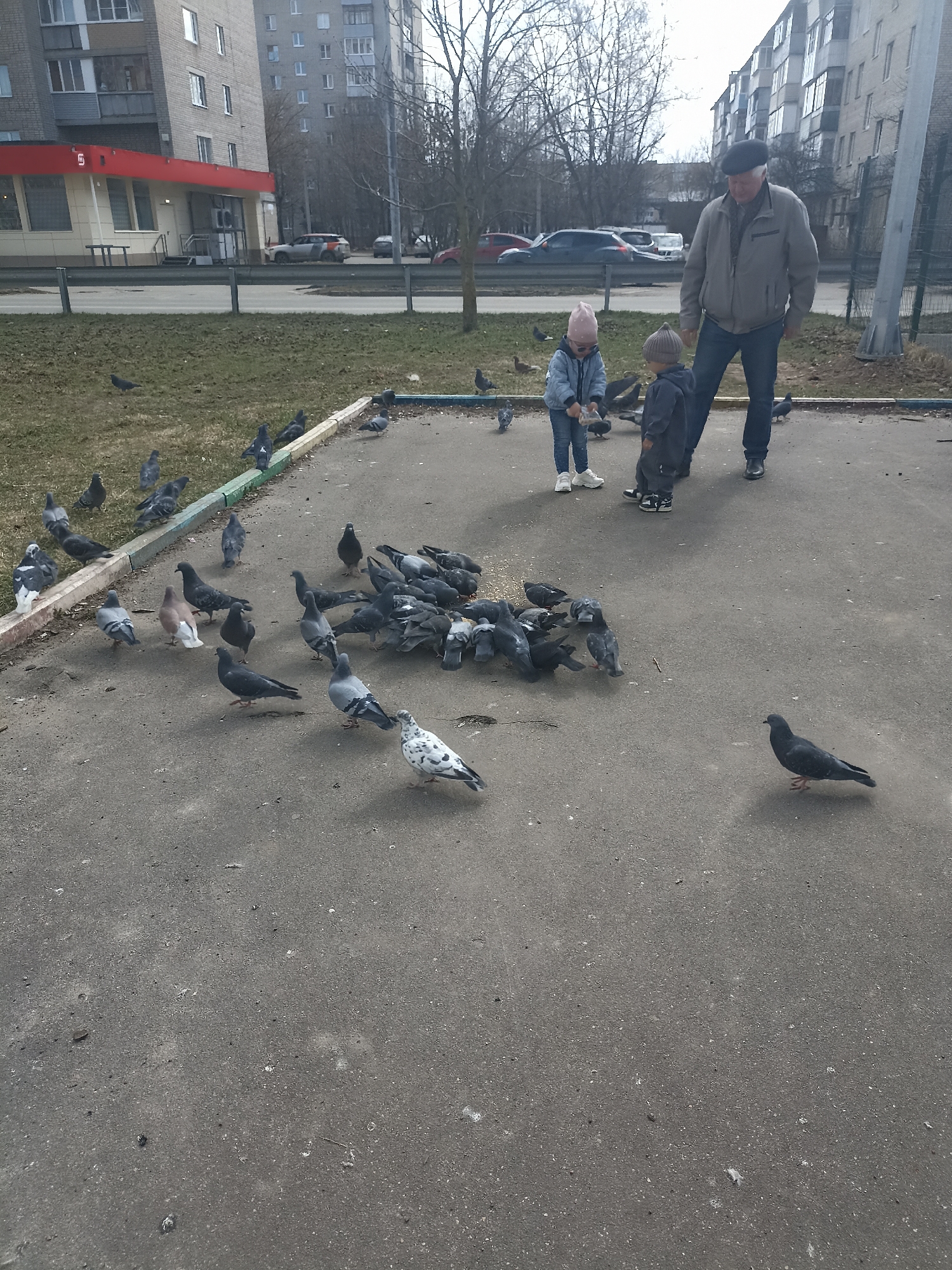 Elderly man and children feed pigeons in Serpukhov playground
