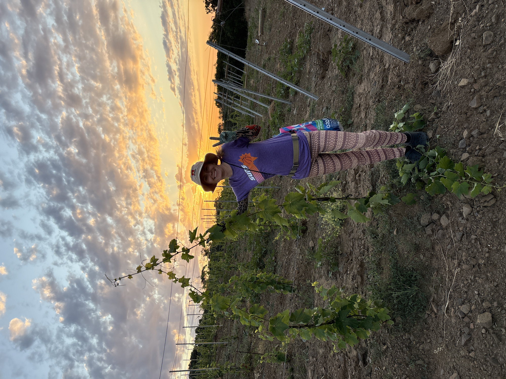Sunset vineyard visit in Crimea, casual and unhurried