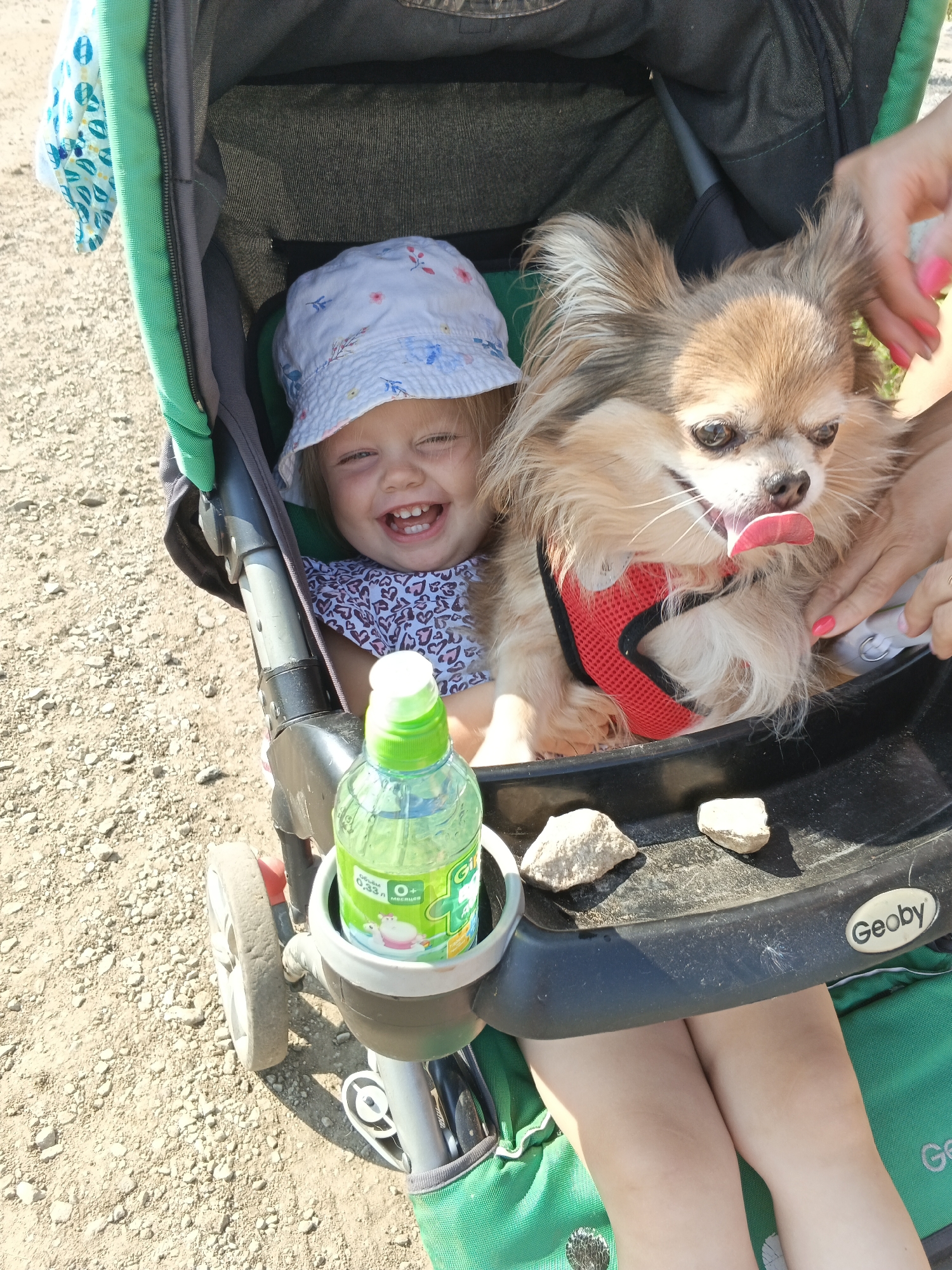 Family walk through rural Russian village roads on a summer morning
