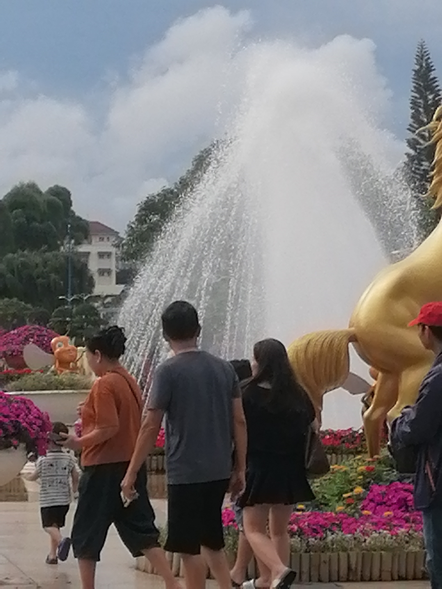 Morning stroll through Đà Lạt's Xuân Hương district captured