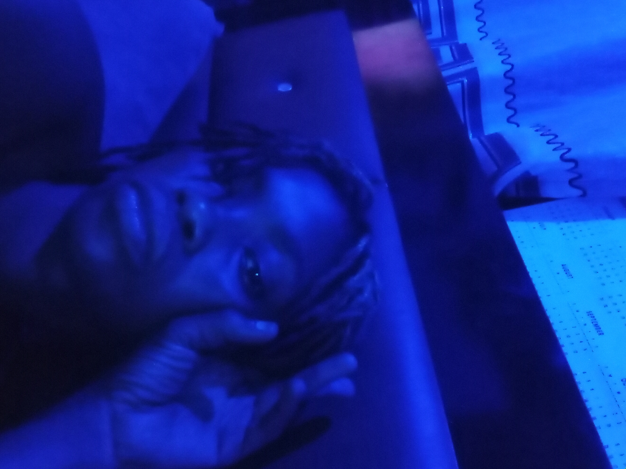 Person rests in blue-lit room in Shagamu, Nigeria