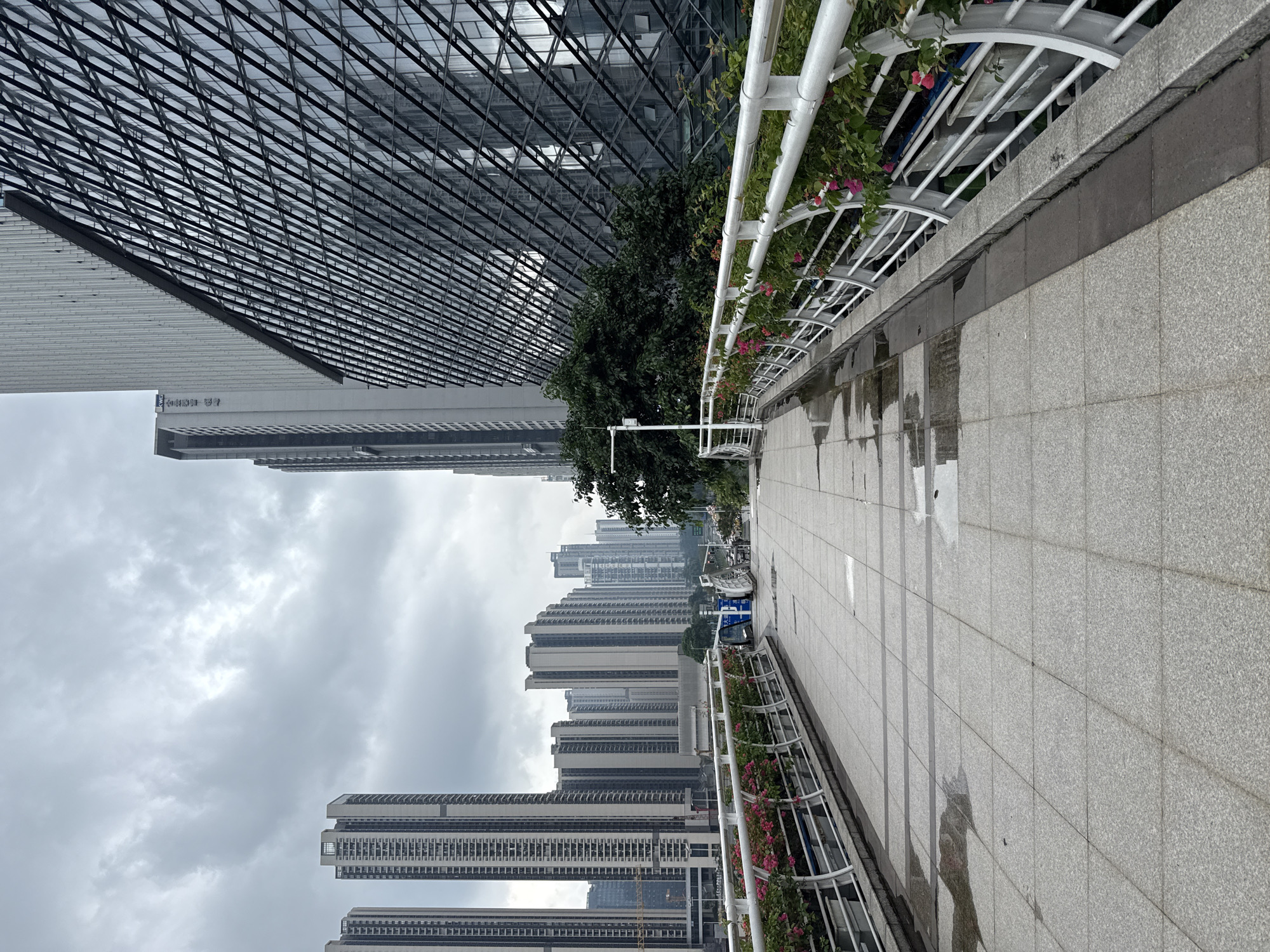 Rainy morning walk along Tianhe's flower-lined pedestrian bridge