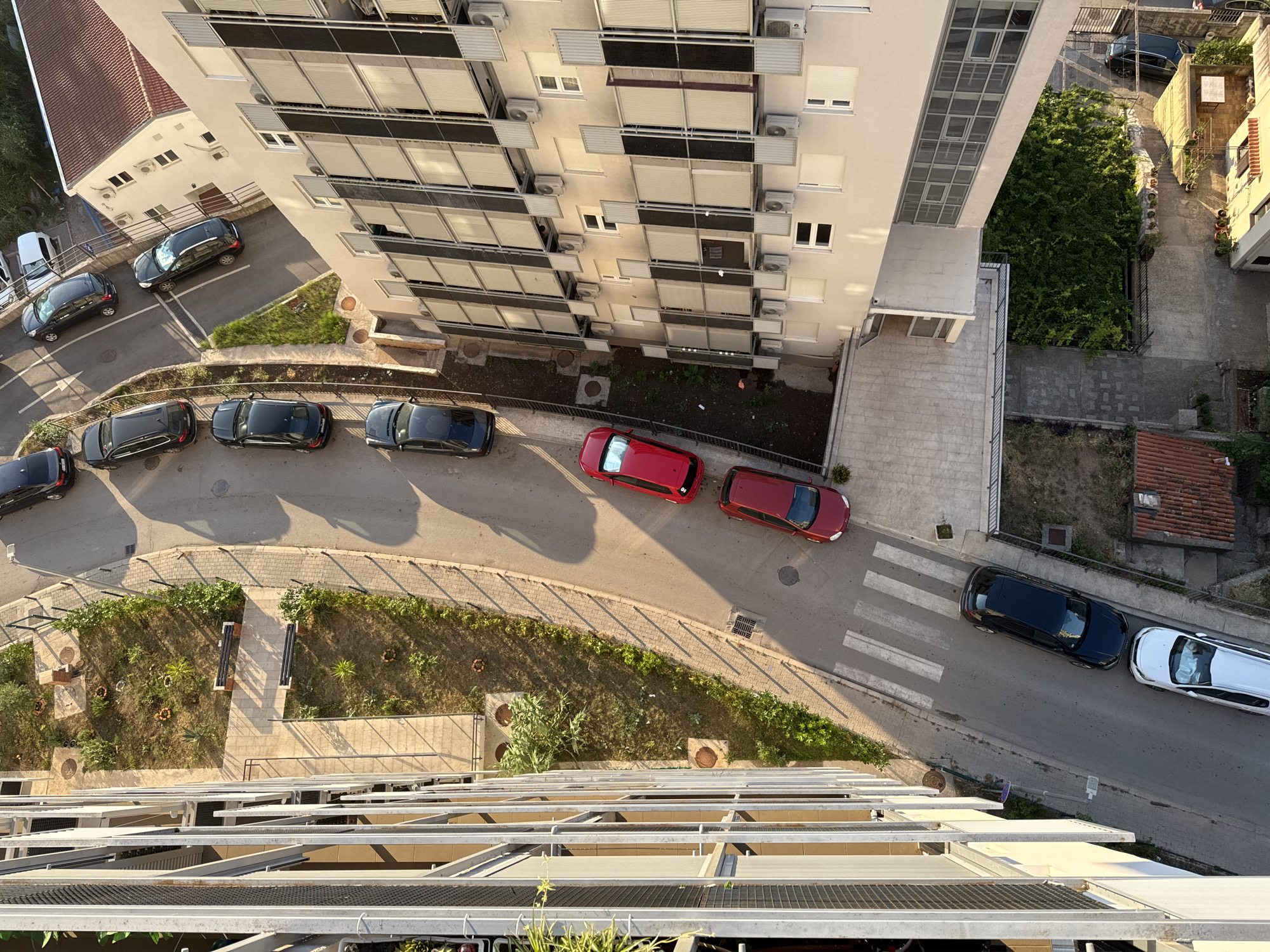 Budva rooftop views and a Lab's lazy morning snack