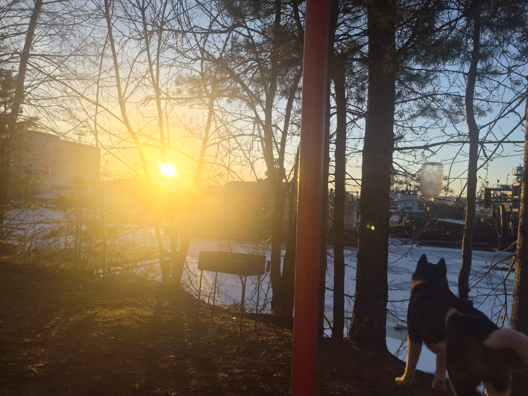 Winter sunset observed with dog by frozen water