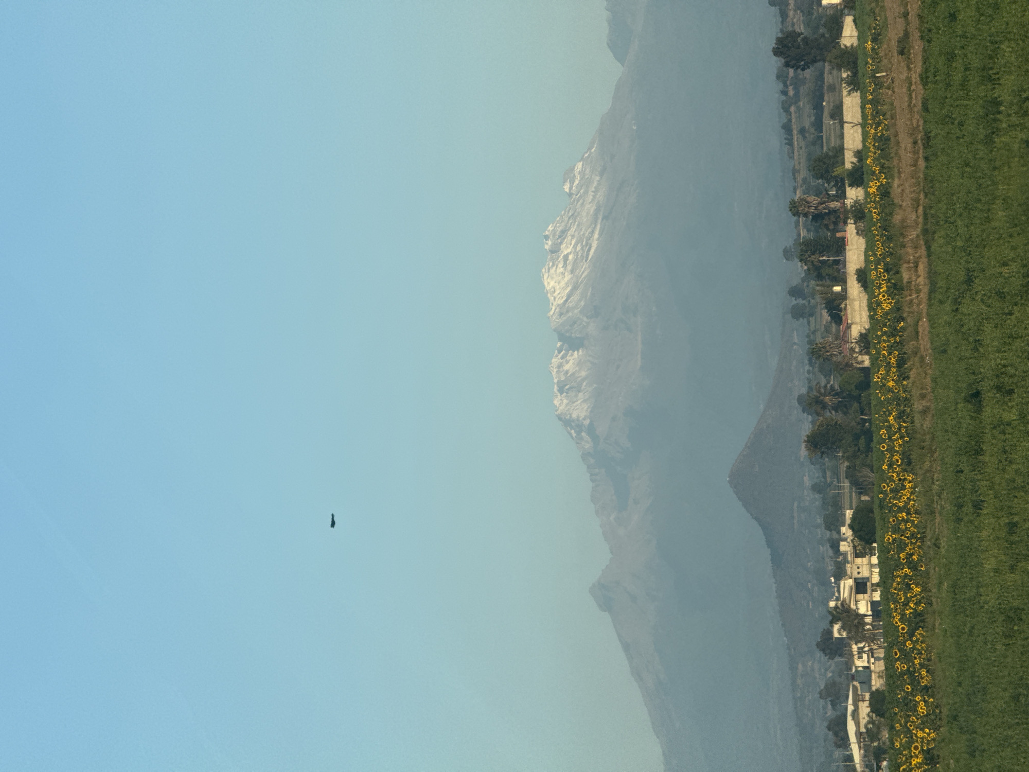 Dark object spotted in daytime sky over Mexican town
