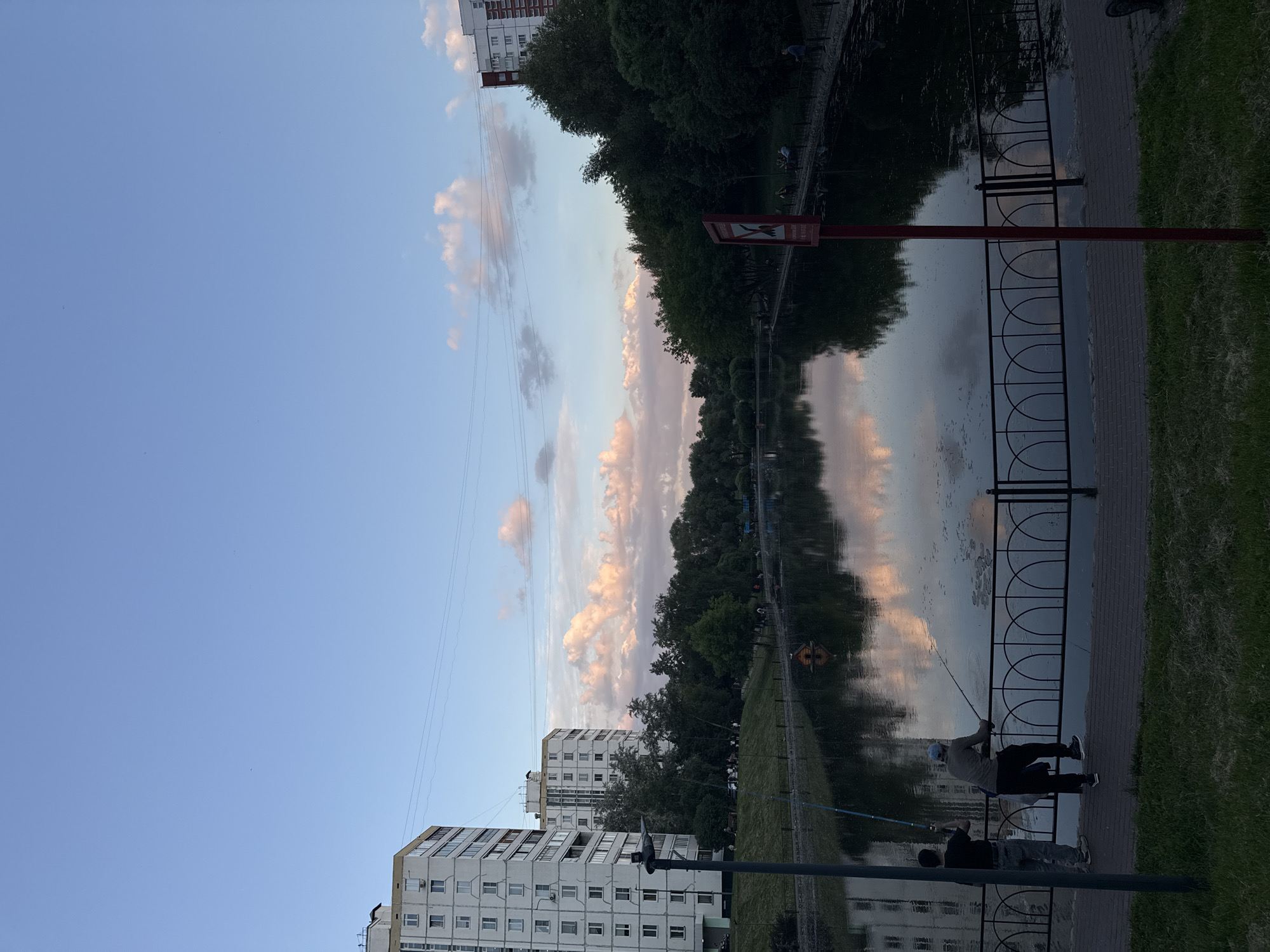 Evening dog walk captured in Moscow park amid poplar fluff