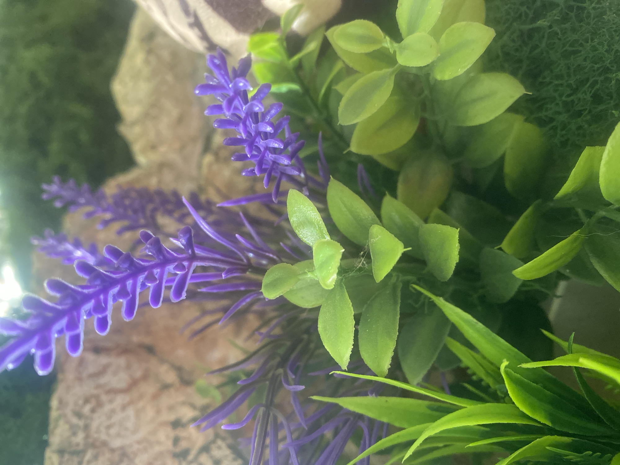 Indoor crafting session with decorative arrangements documented in Novokuznetsk