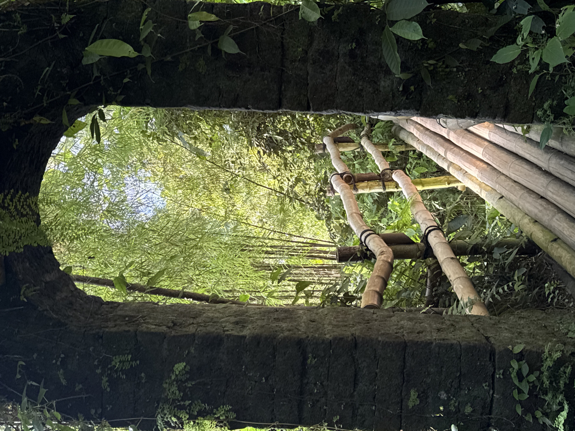 Natural scenes and bamboo bridge documented in Sayan, Indonesia