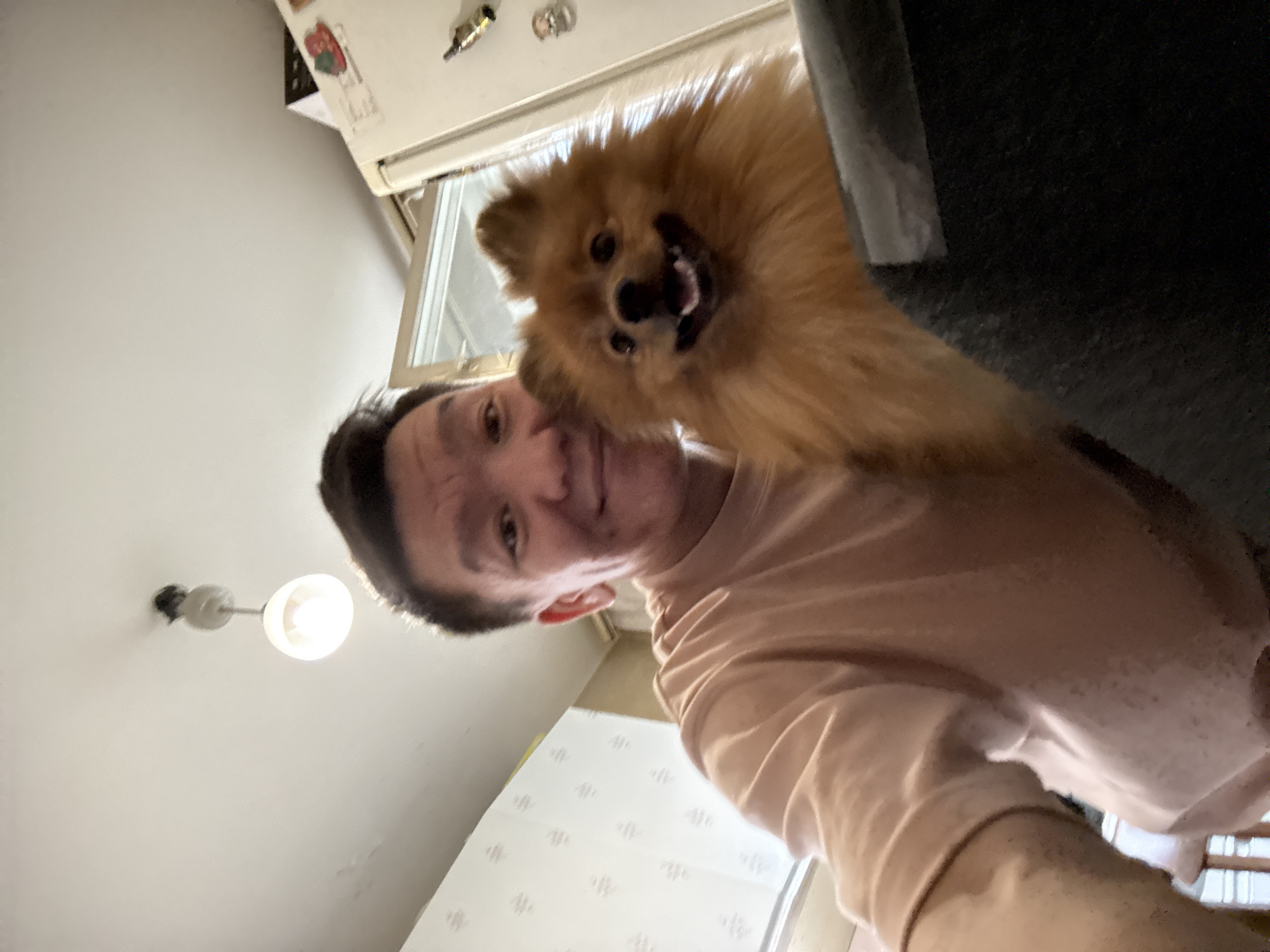 Afternoon out: abstract sculpture, a dog, and downtime