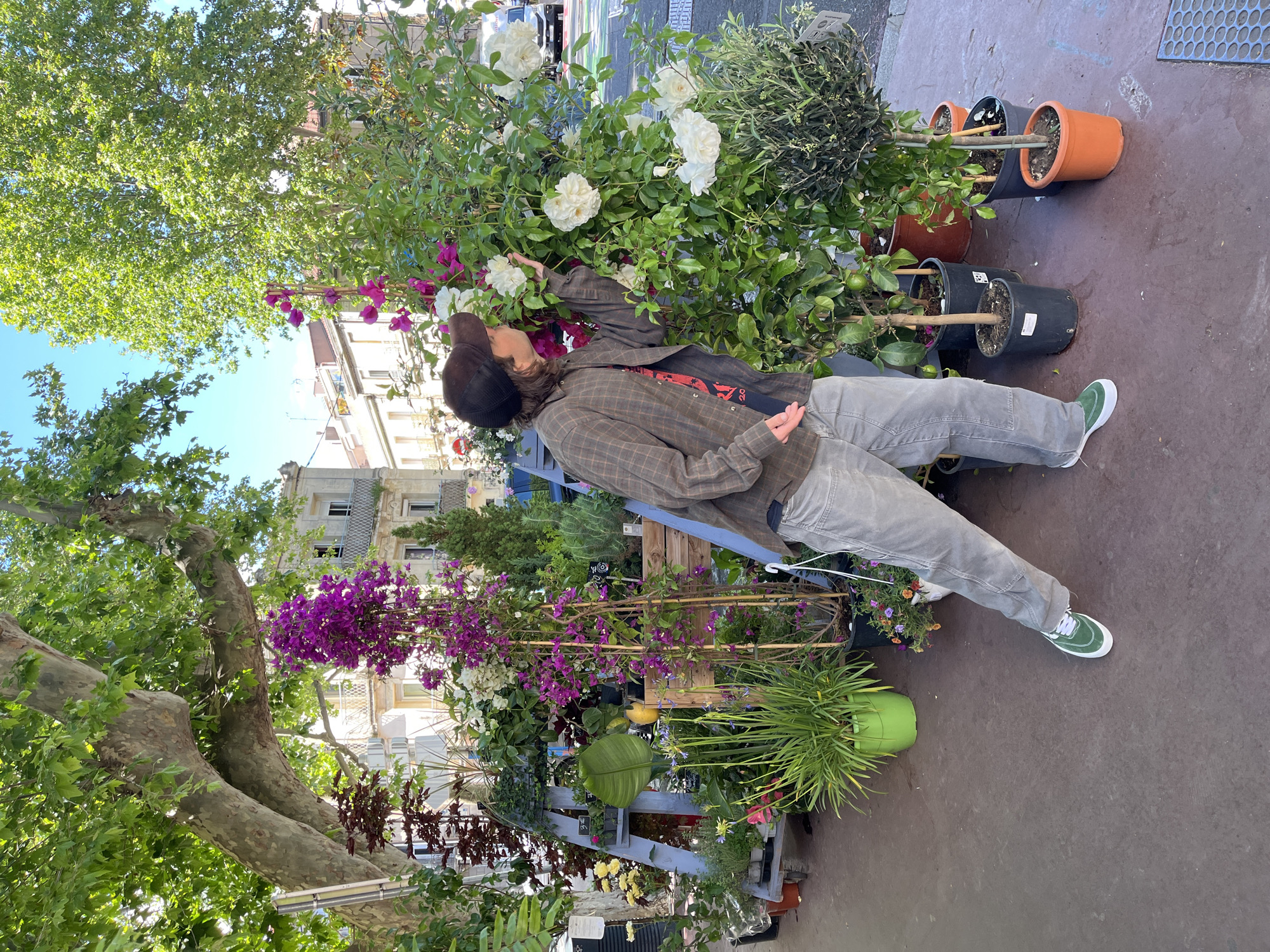 Flower shop activity observed in Montpellier, France