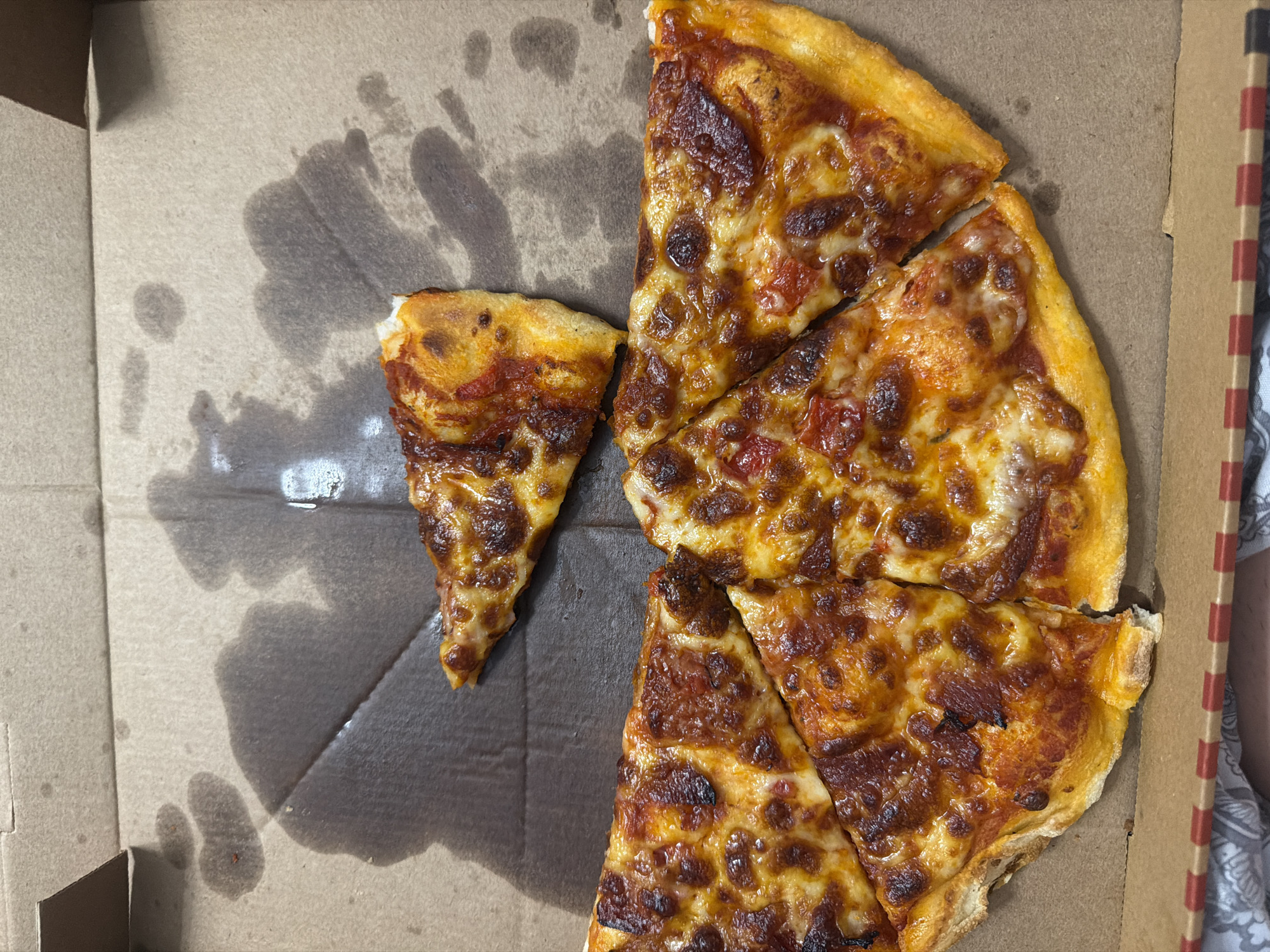 Pizza dinner with French bulldog documented in Ruse evening