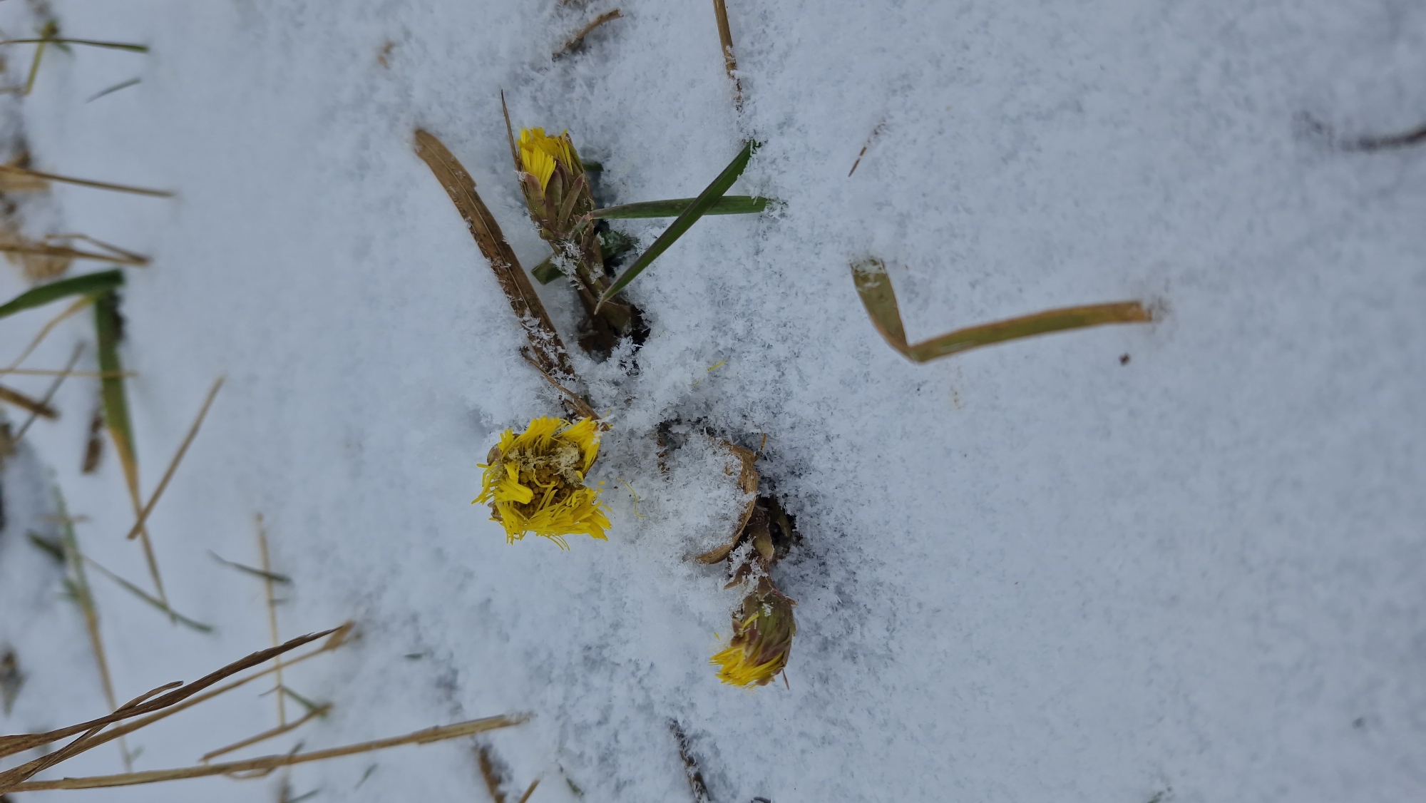 Winter morning documented in Otchor, Russia through personal memories