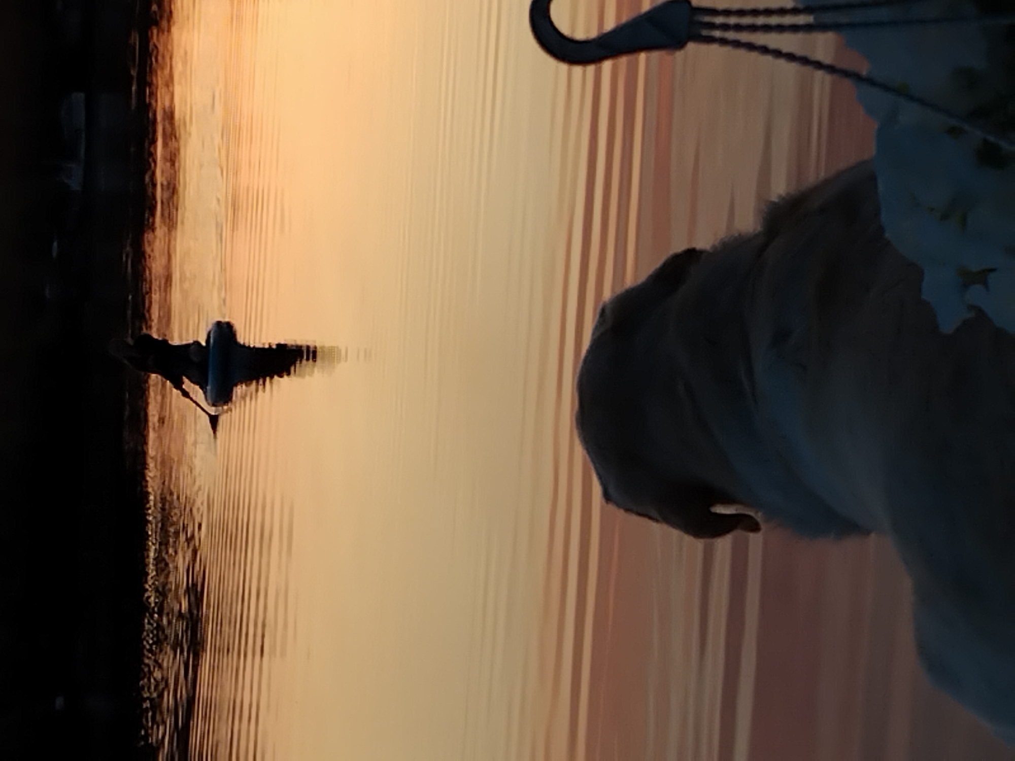 Sunset along the Dnipro River, birds and shoreline in silhouette