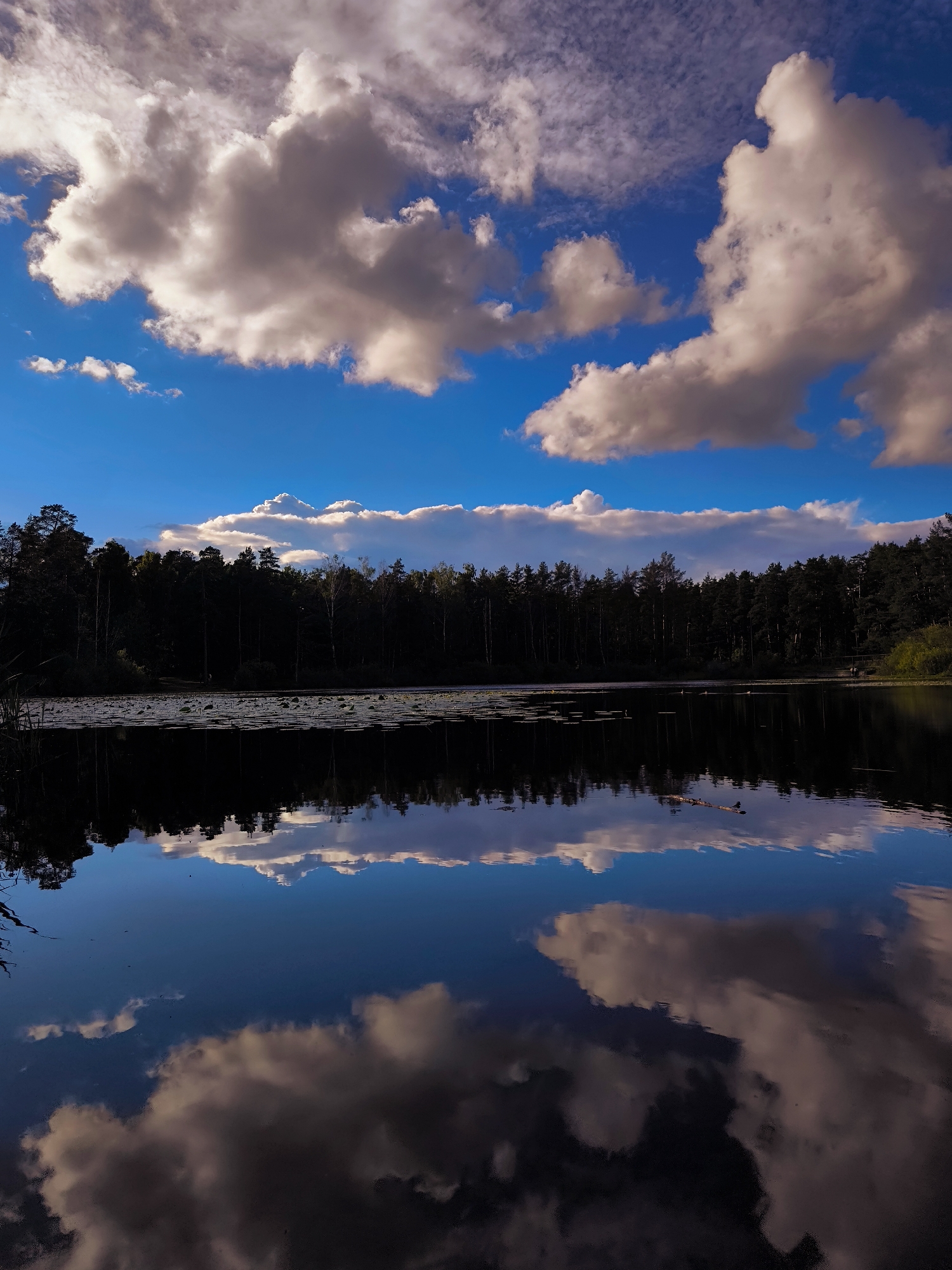 Quiet afternoon at a forested lake on the edge of Riga