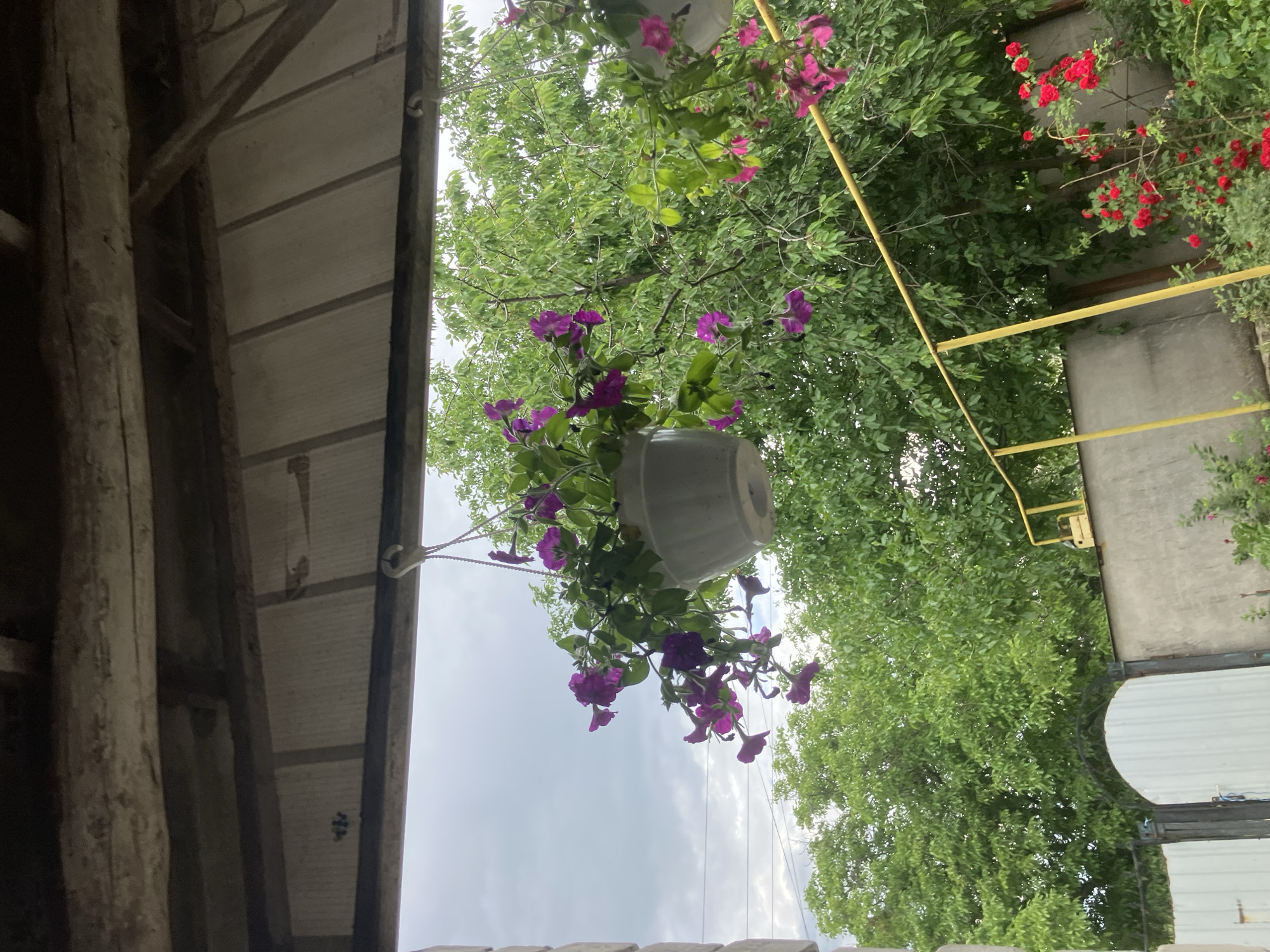 Resident documents daily life around Vovkivka property
