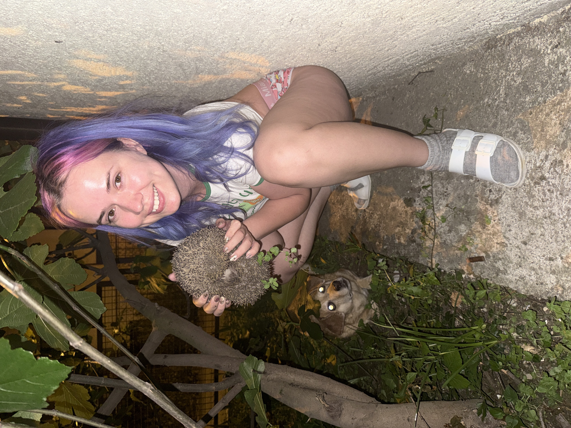 Woman with colorful hair holds hedgehog in Zagreb