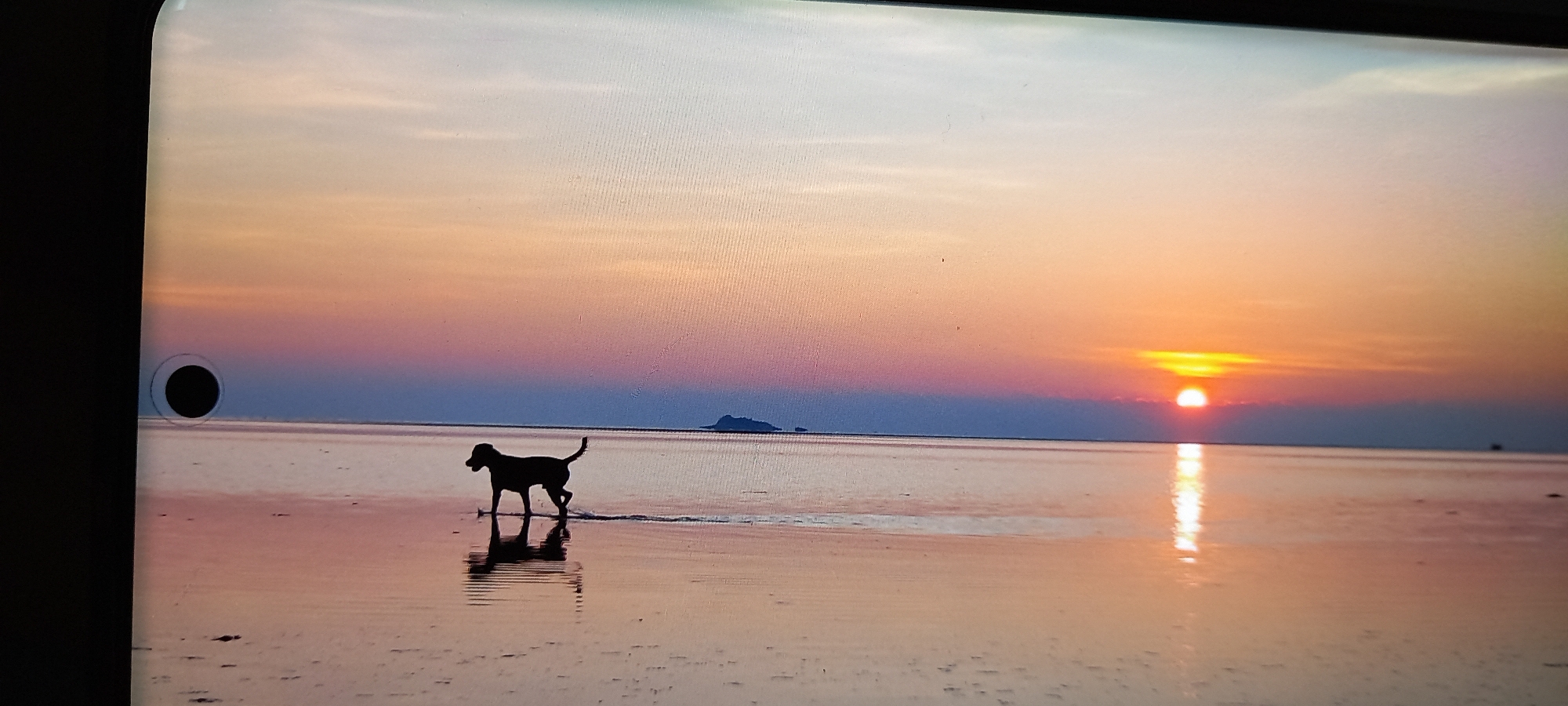 Animals photographed during sunset hours in Baan Chaloklum, Thailand