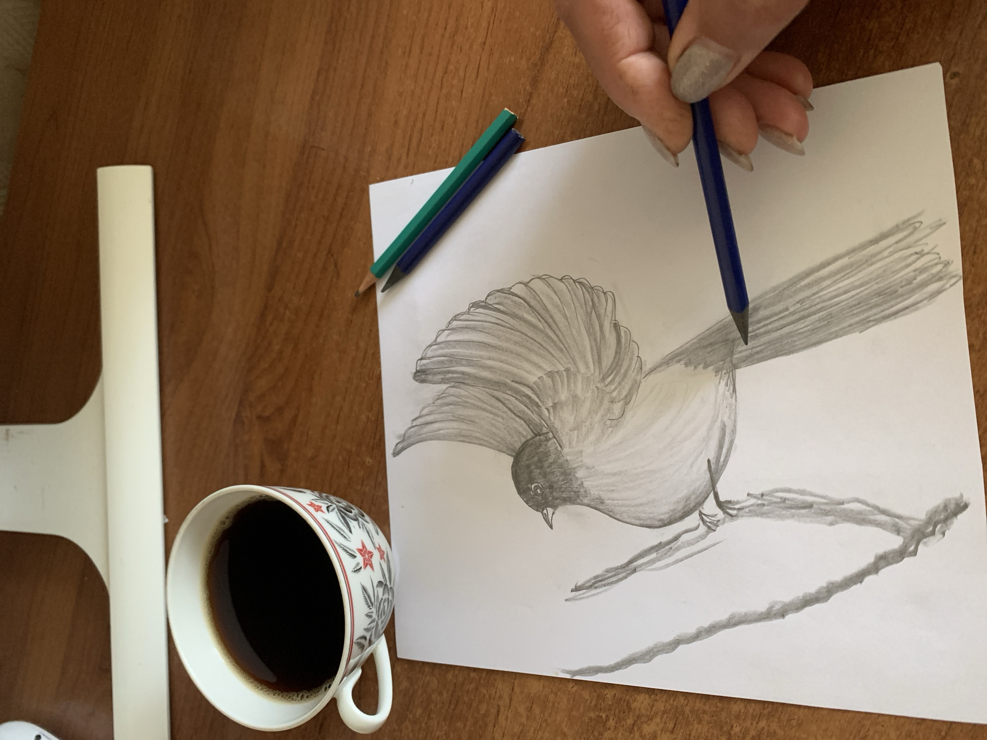 Afternoon sketching session and nature detail in Kavalerovo
