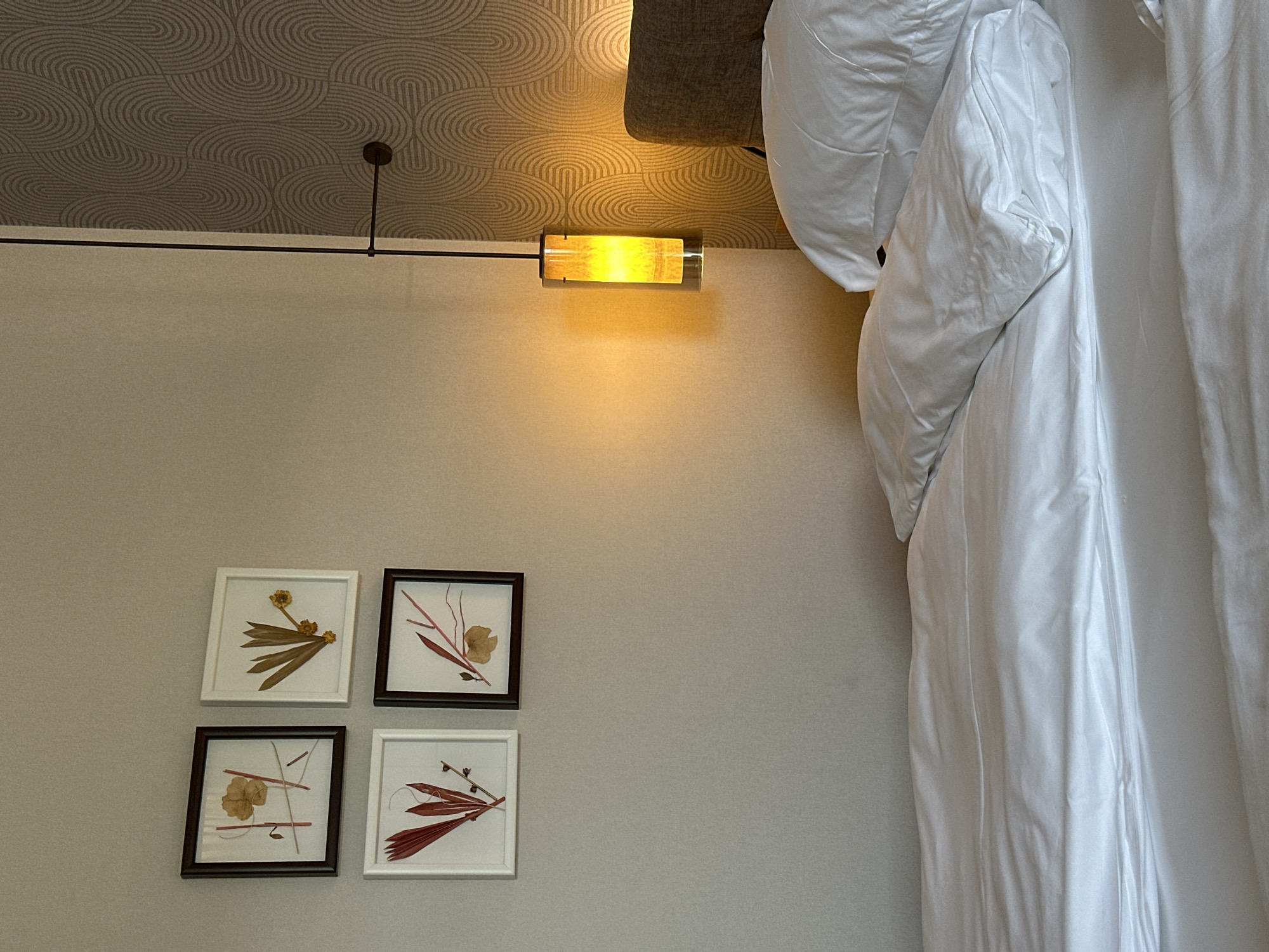 Morning hotel selfies captured across Bulgarian towns