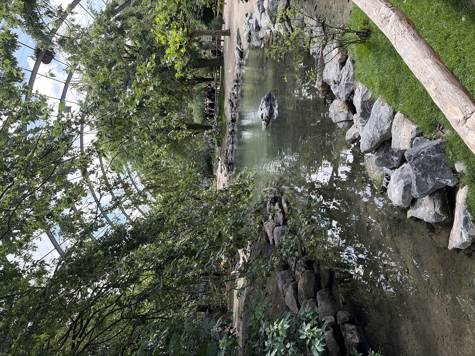 Morning zoo visit captures diverse wildlife at Belgian Pairi Daiza