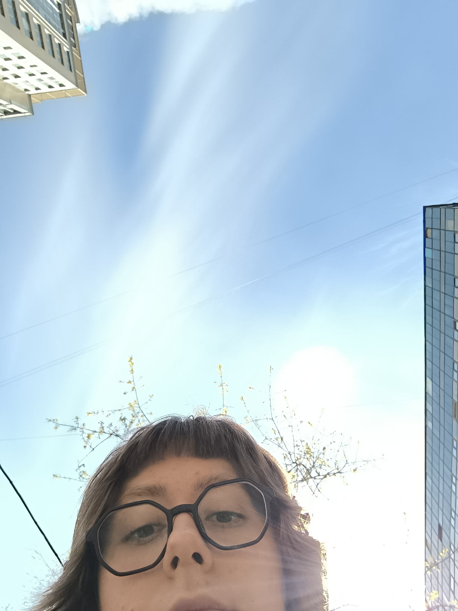 Person enjoys spring blossoms under clear Moscow skies
