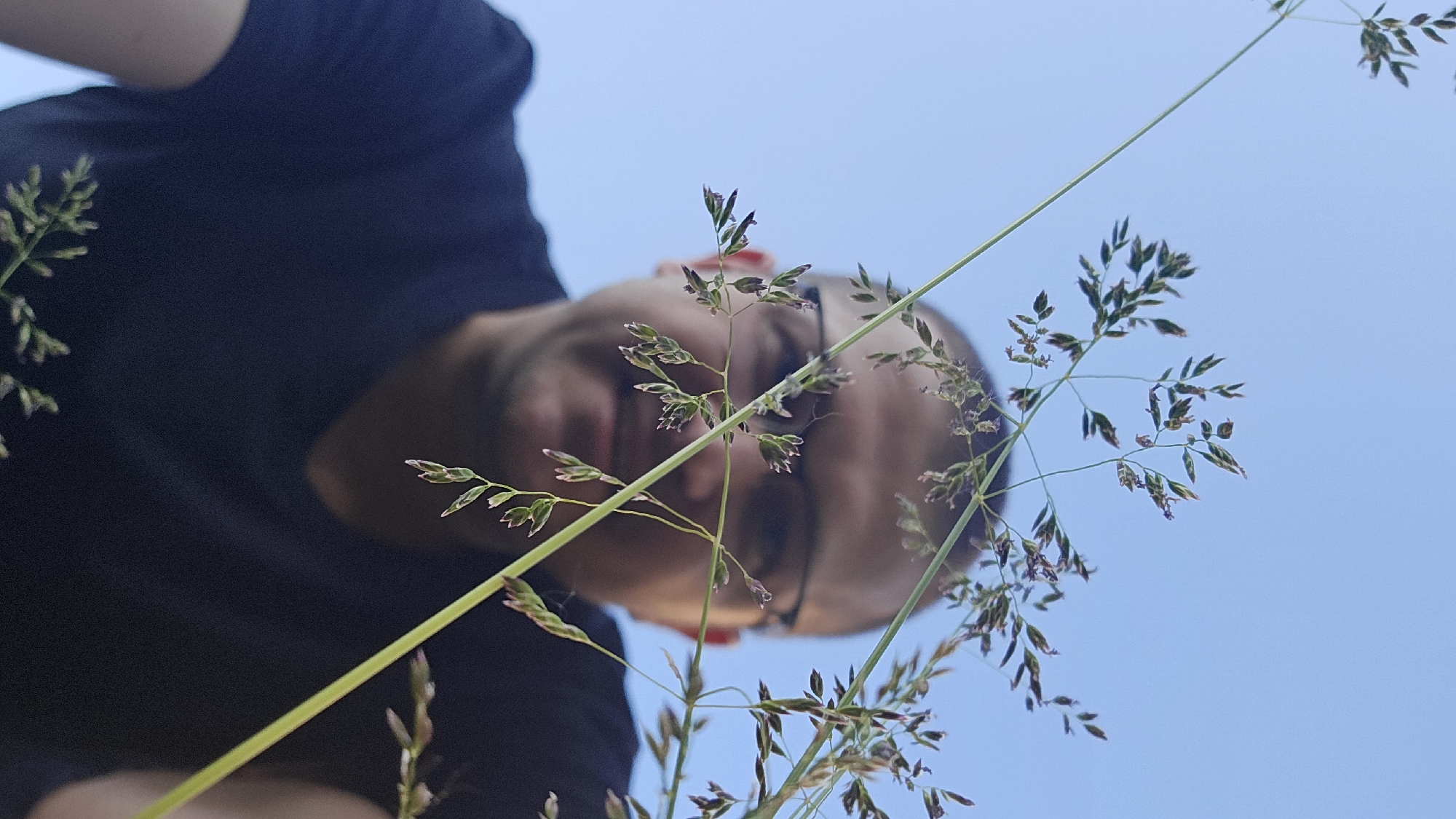 Man photographed outdoors among grass and flowers in Kyiv