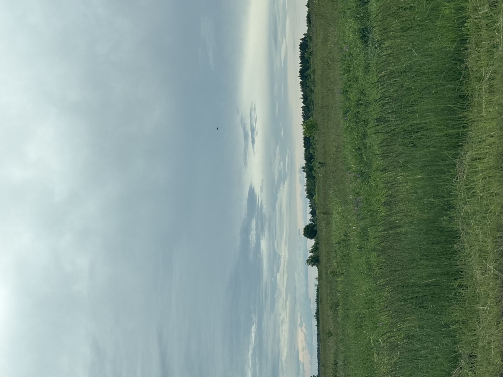 Driving through rural Foteni under a cloudy summer sky