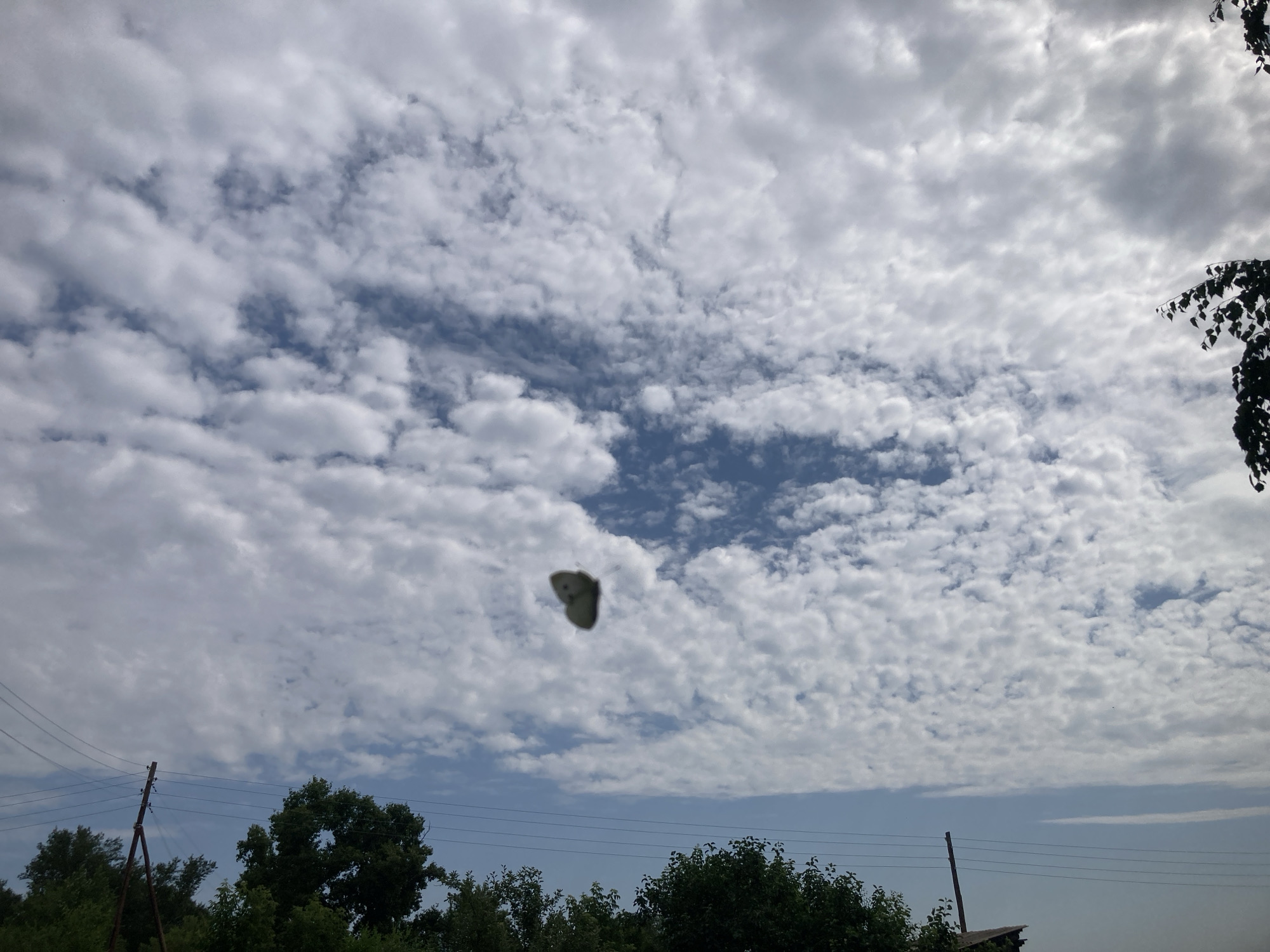 Partly cloudy skies over rural Ракиты, Russia