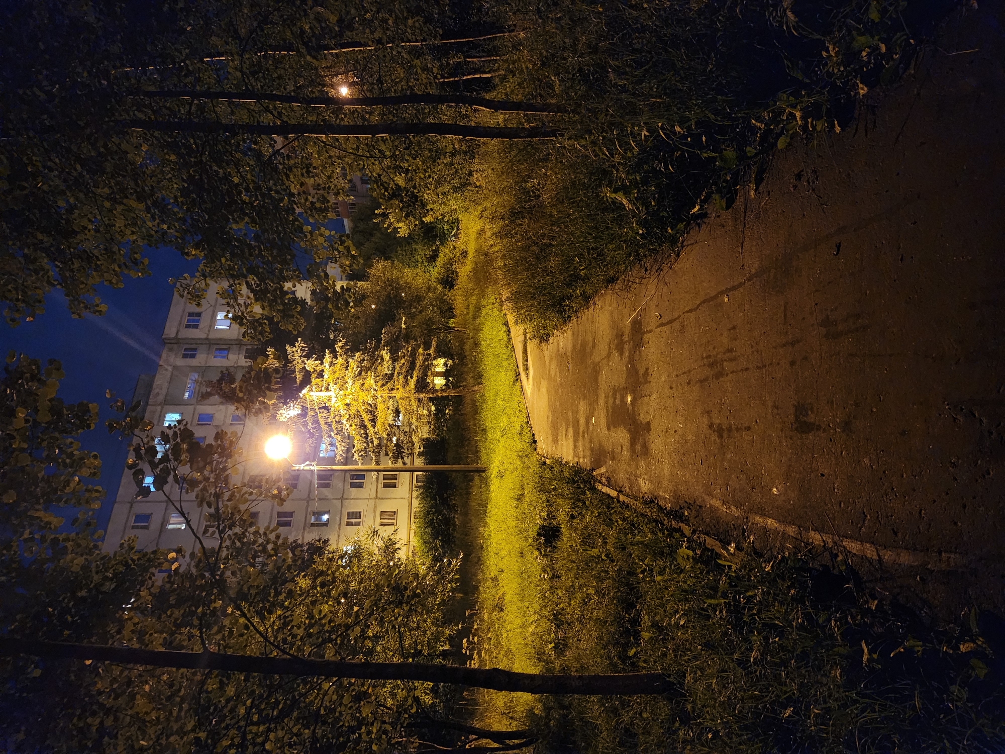 Lit walkway through a grassy area near a residential building at night.
