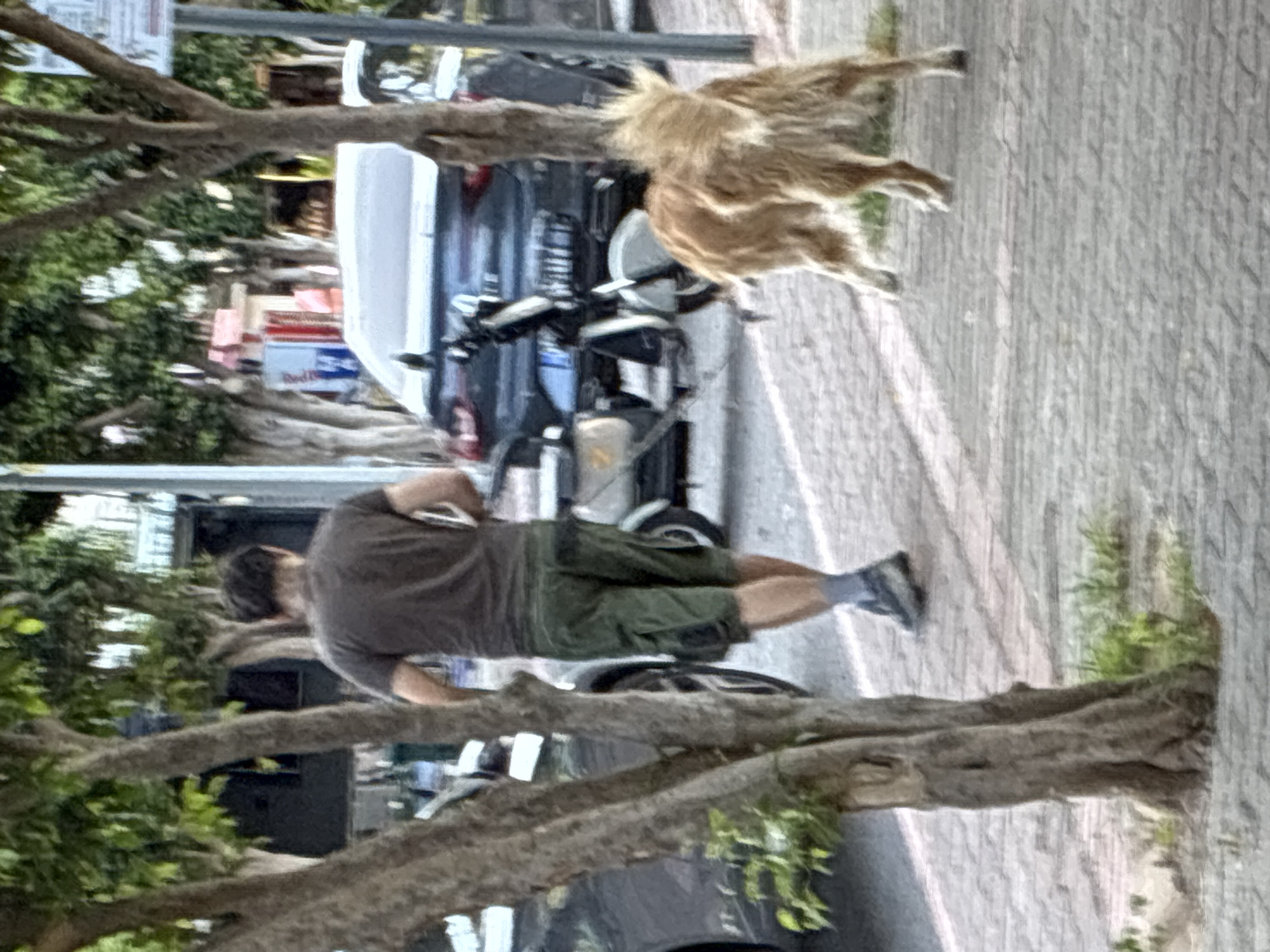 Street life, stray animals, and a helicopter over Alanya