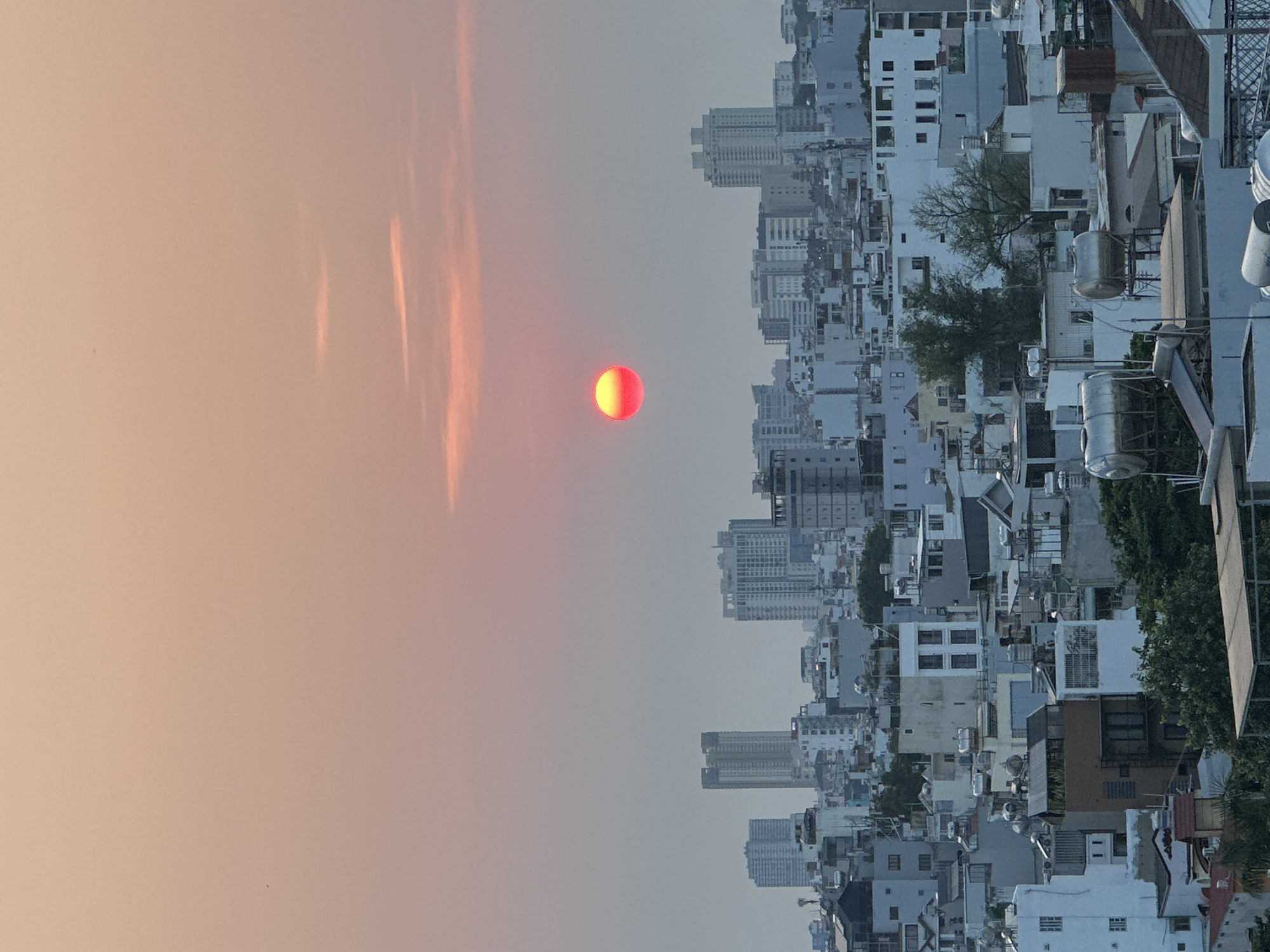 Ho Chi Minh City sunset and pink flowers captured