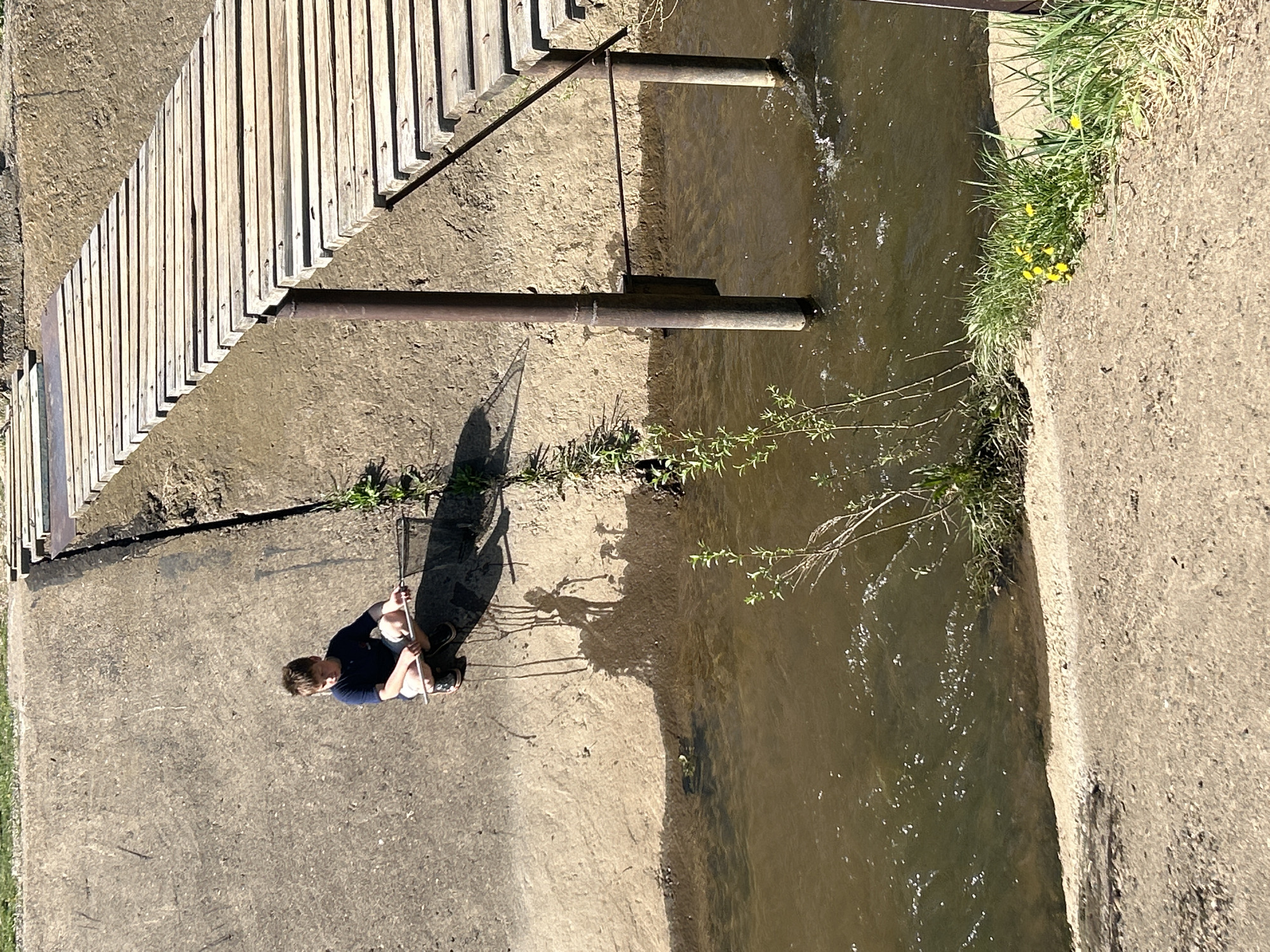 Families enjoy spring day by waterway in Chaikovsky, Russia