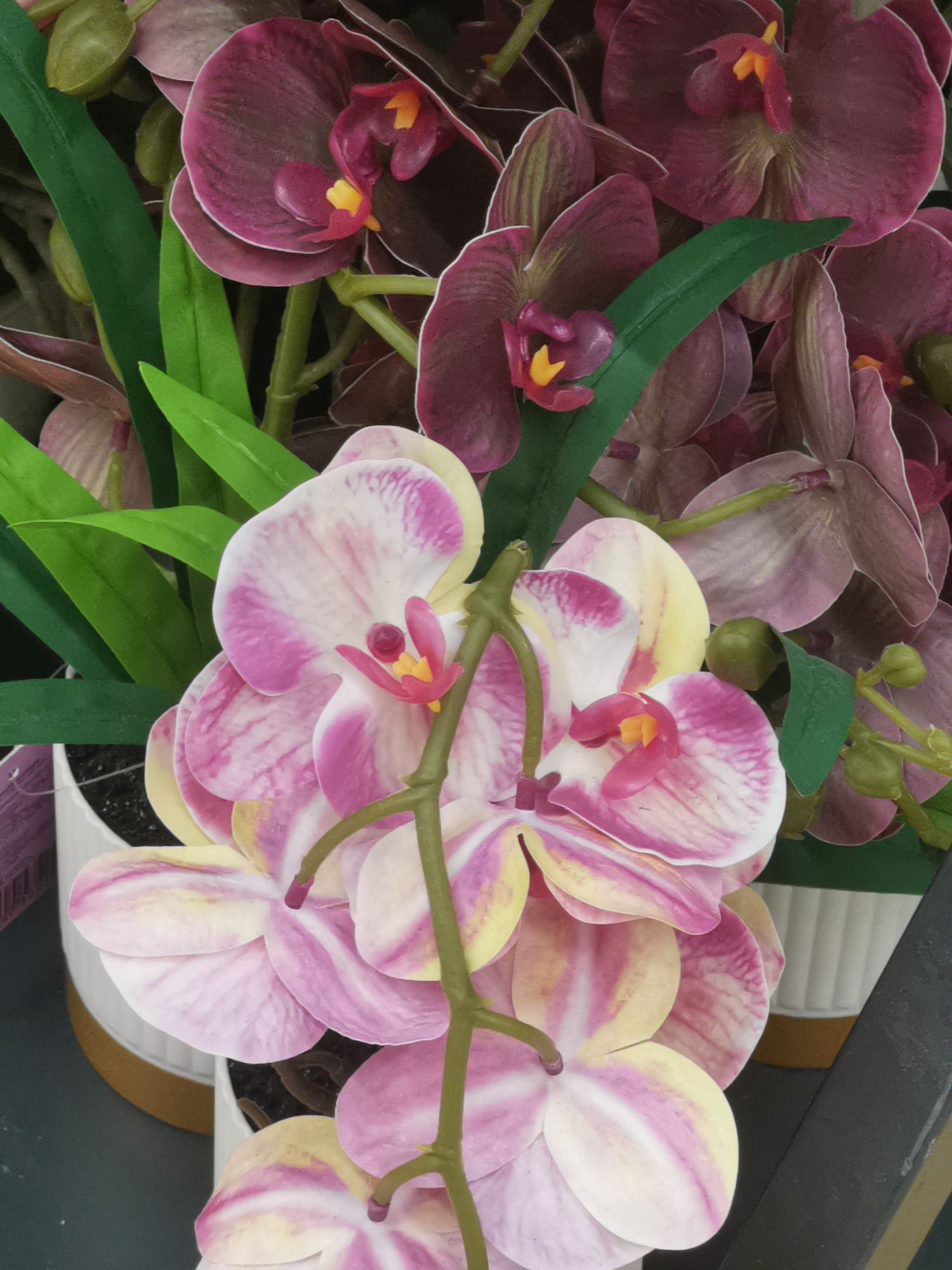 Evening around Cherkessk: shops, street lights, and fake flowers